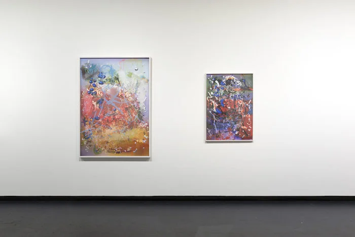 Petra Cortright, RUNNING NEO-GEO GAMES UNDER MAME, 2017, installation view, City Gallery Wellington, New Zealand.