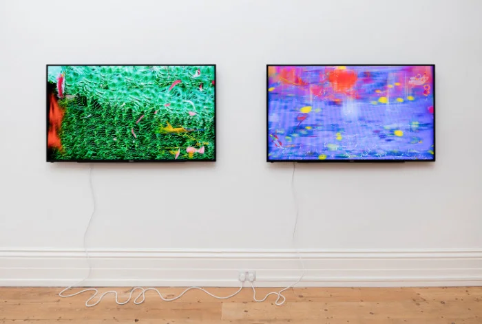Petra Cortright, orange blossom princess fucking buttercup, 2016, installation view, Carl Kostyal, London, UK.