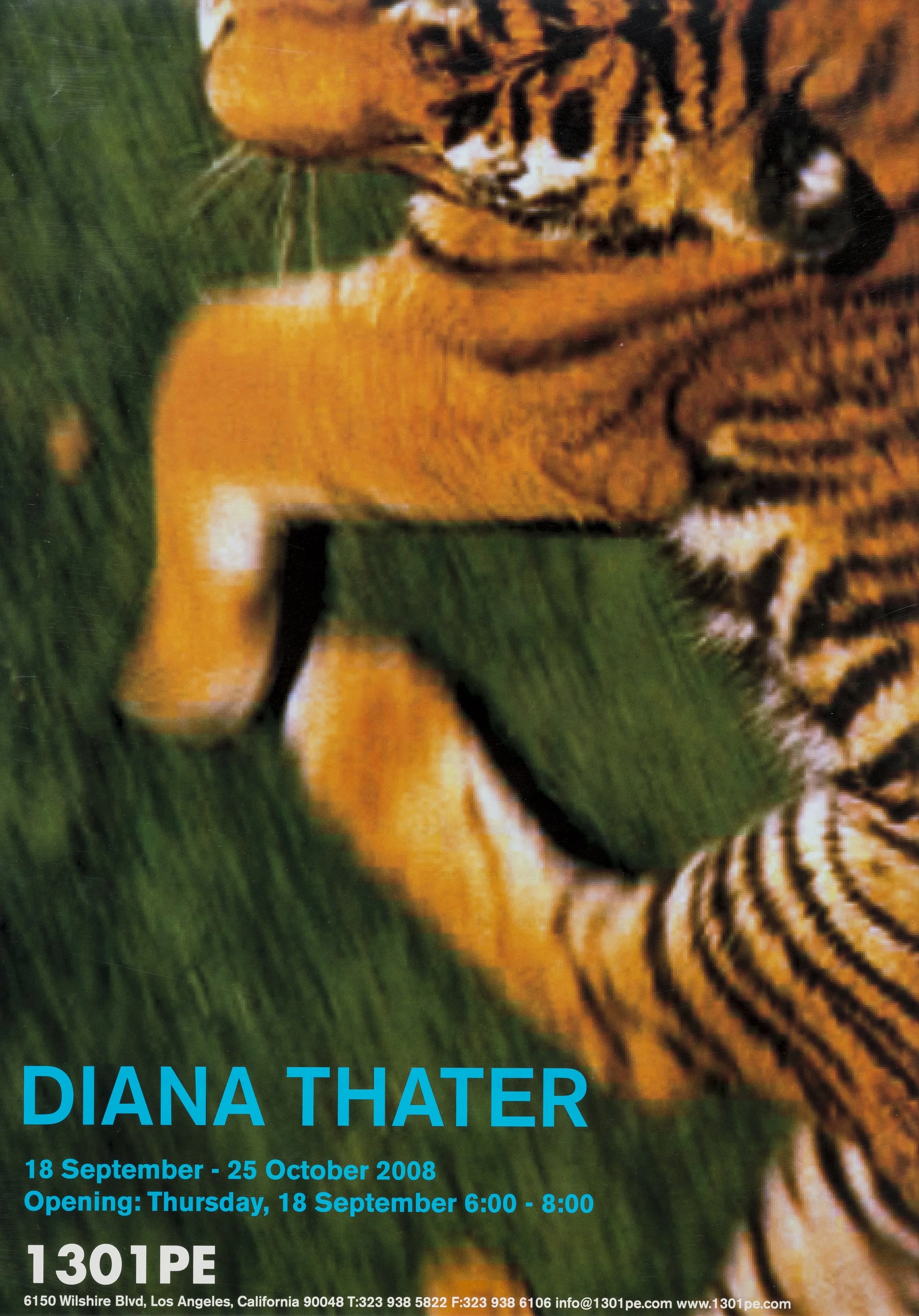 DIANA THATER