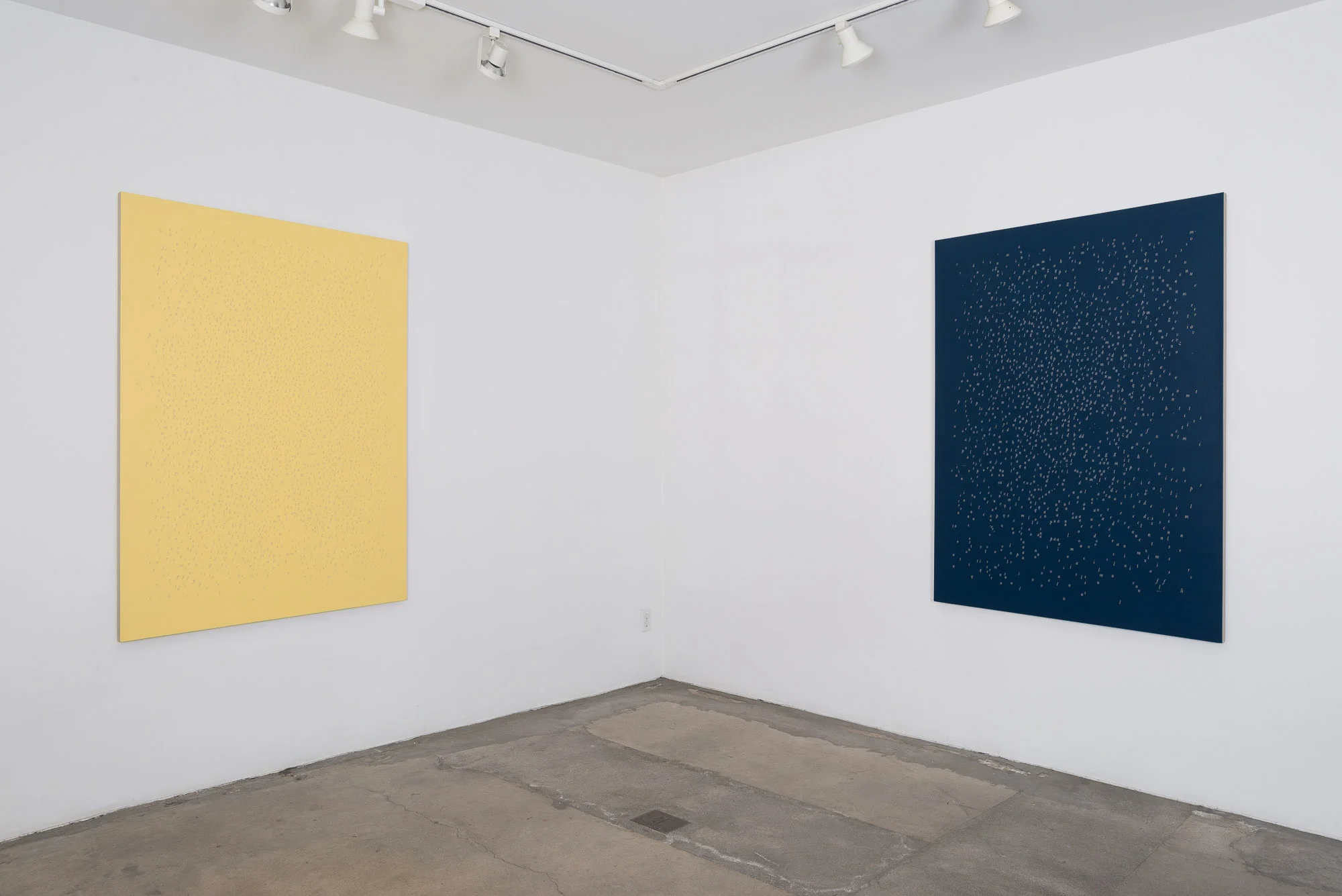 Jorge Mendez Blake, Dismantling Gorostiza, 2017. Installation view 1301PE.