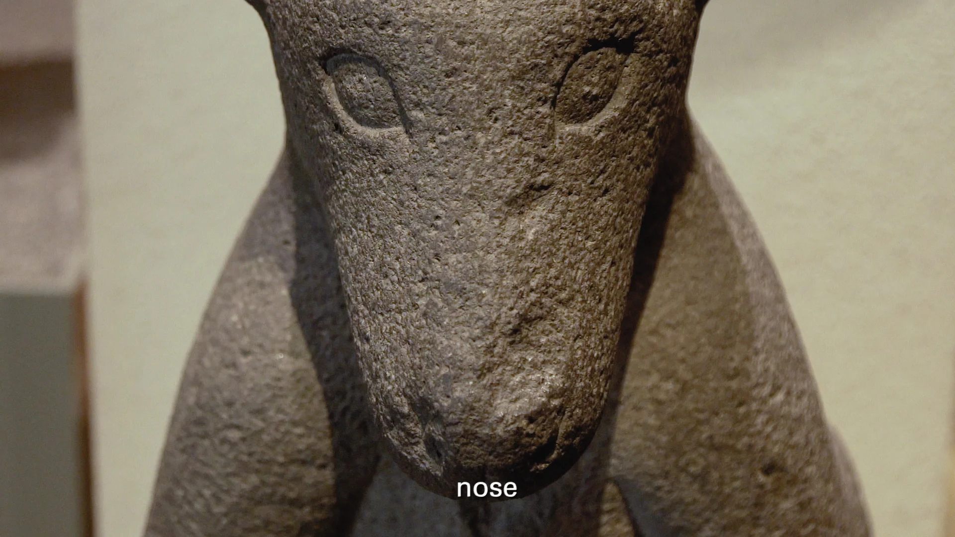 Production still: Kerry Tribe, Afasia, 2017, Video projection with sound, 8:32 minutes loop.