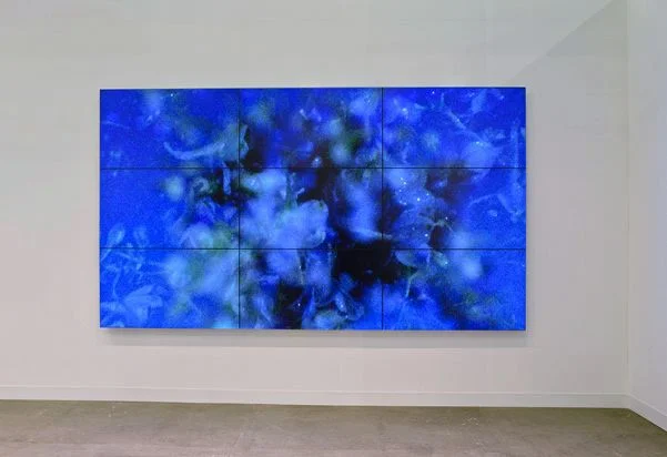 Diana Thater, Day For Night One, 2013, 9 Monitor video wall, 1 Player, Dimensions variable.