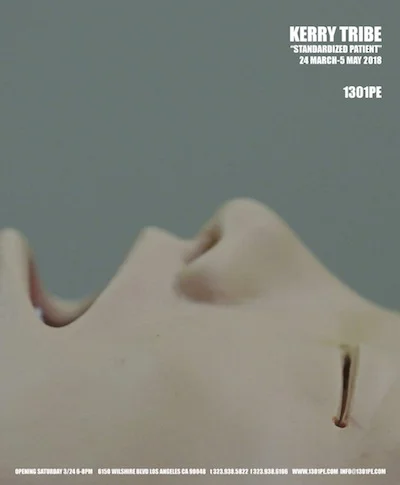 KERRY TRIBE: STANDARDIZED PATIENT