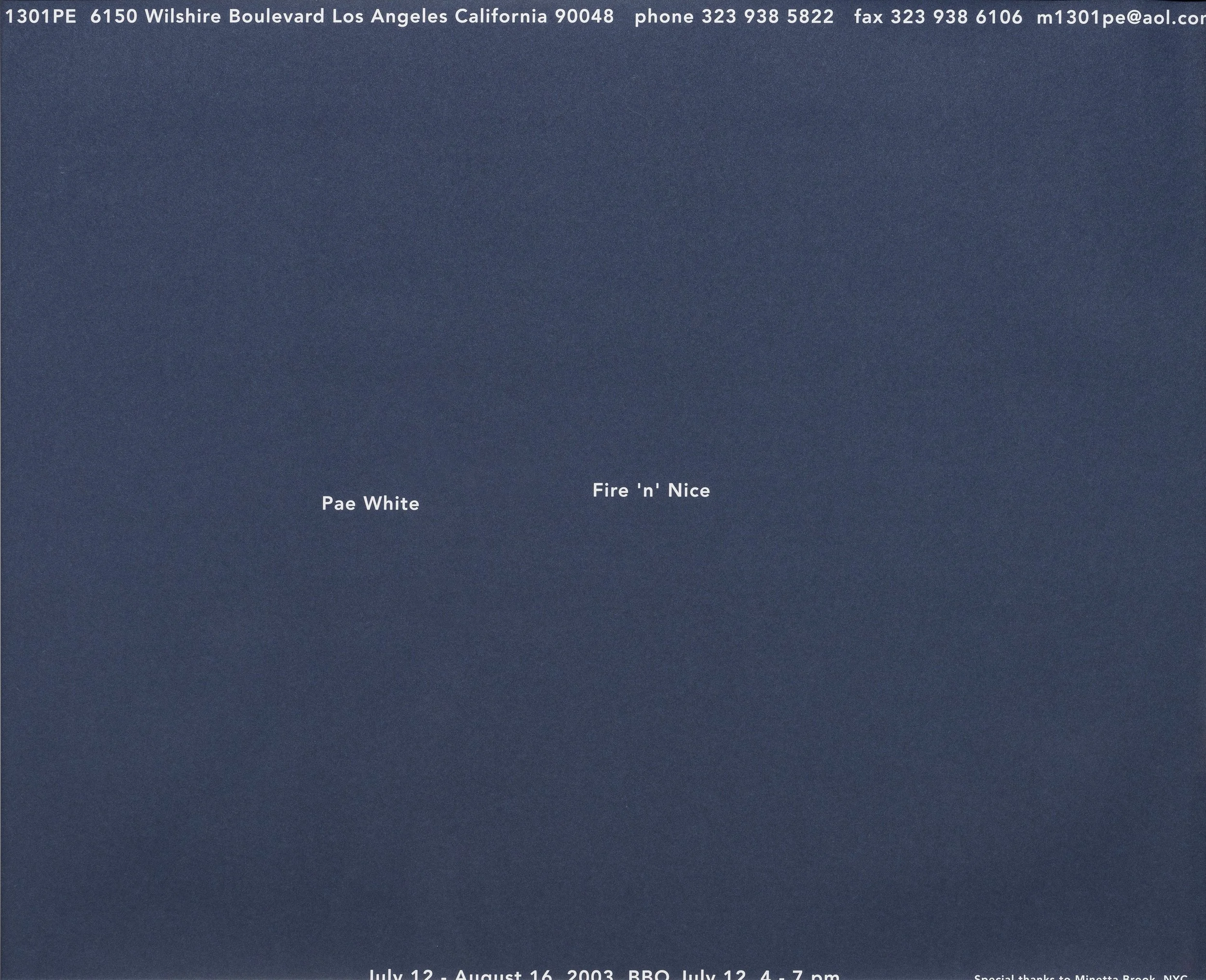 PAE WHITE: FIRE N N ICE