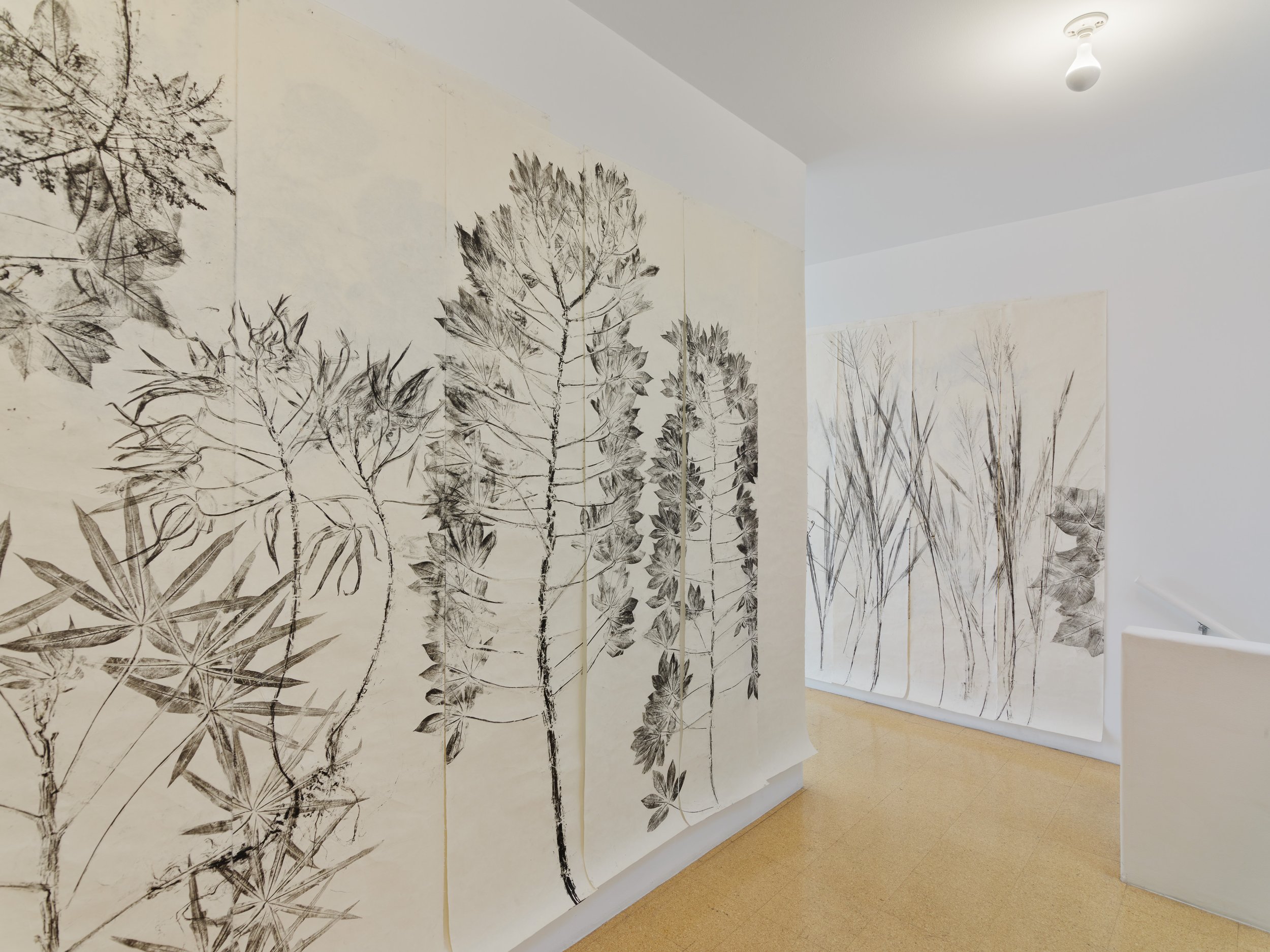  Simryn Gill,  Fall then , 2023, Ink rubbing on washi paper, 94.09 x 1732.28 inches, 239 x 4400 cm, Each Panel: 239 x 50cm. 