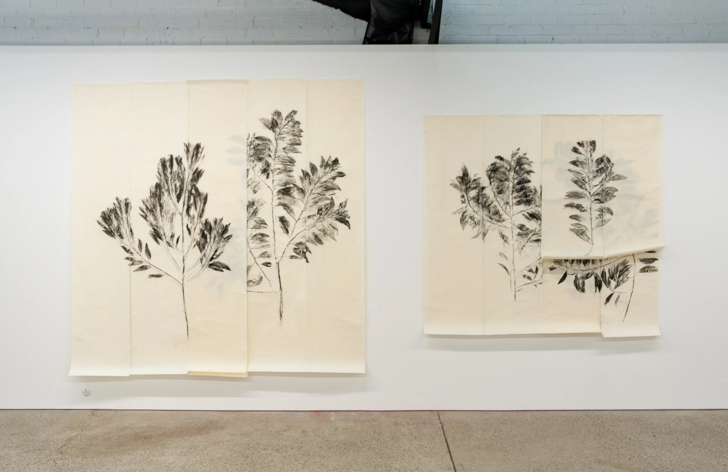 Simryn Gill: Over Our Heads, Installation View, 1301SW, Melbourne (2024)
