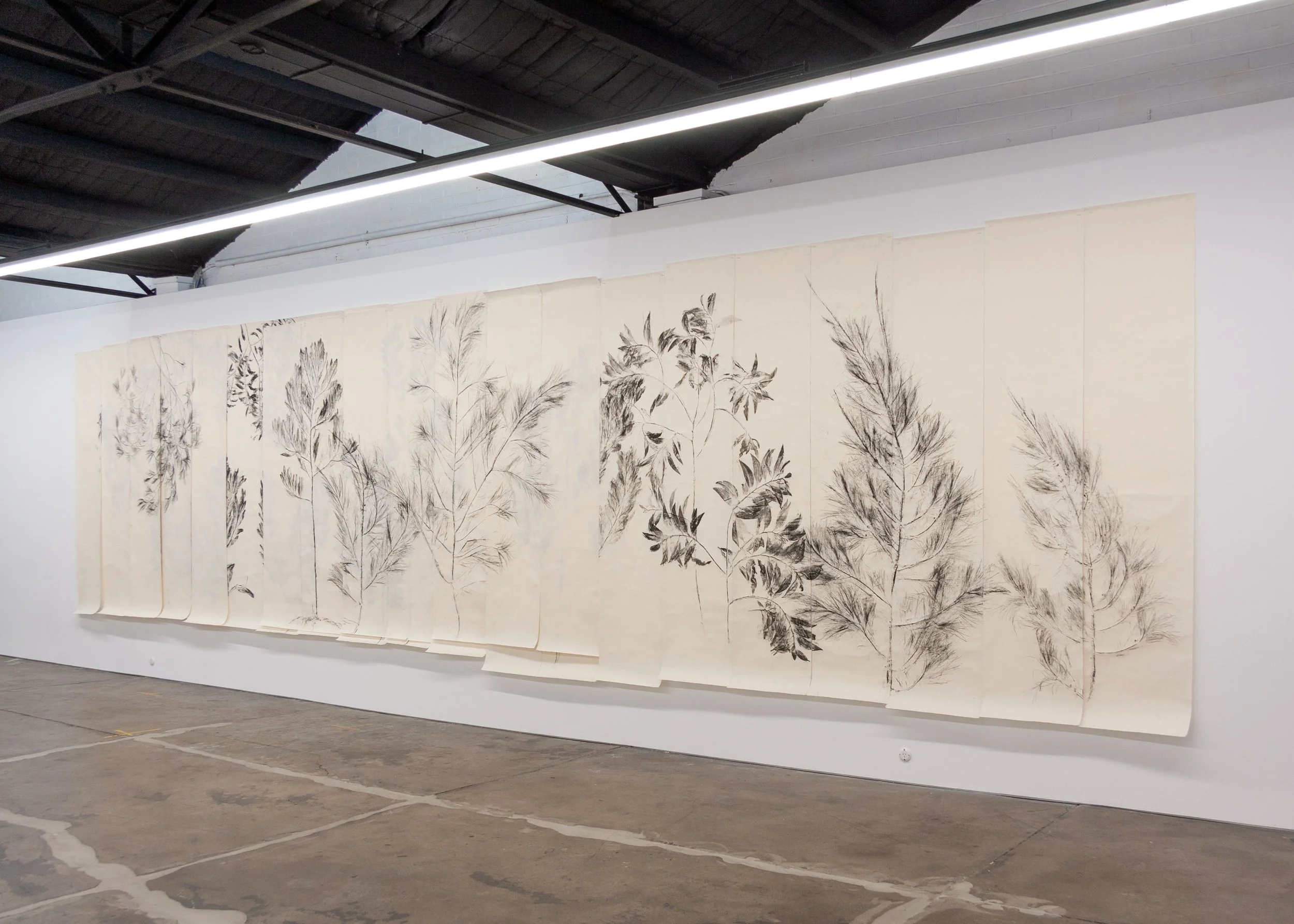 Simryn Gill: Over Our Heads, Installation View, 1301SW, Melbourne (2024)