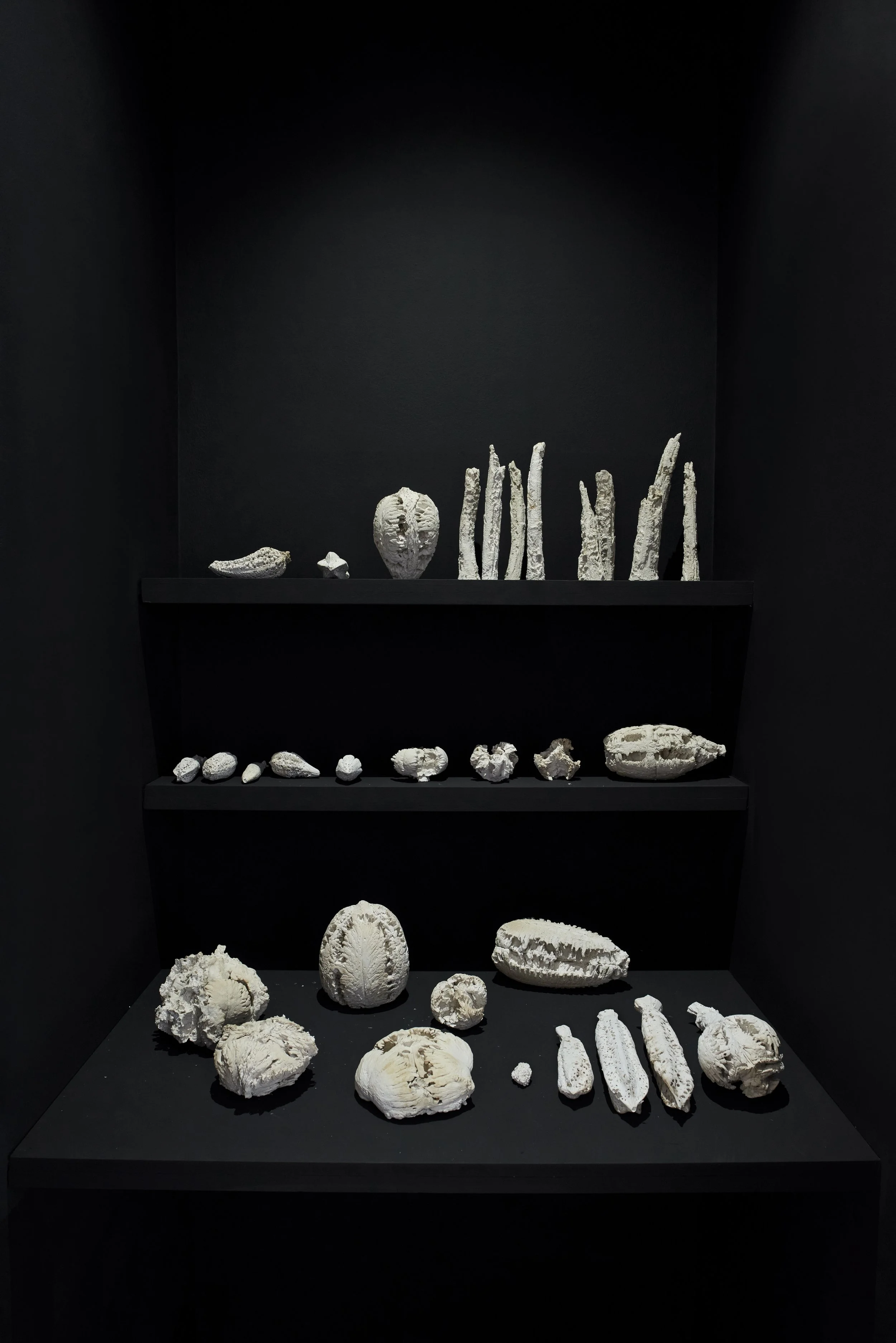 Simryn Gill: Shelter, Installation View, Richard Soulton Gallery, London (2024)