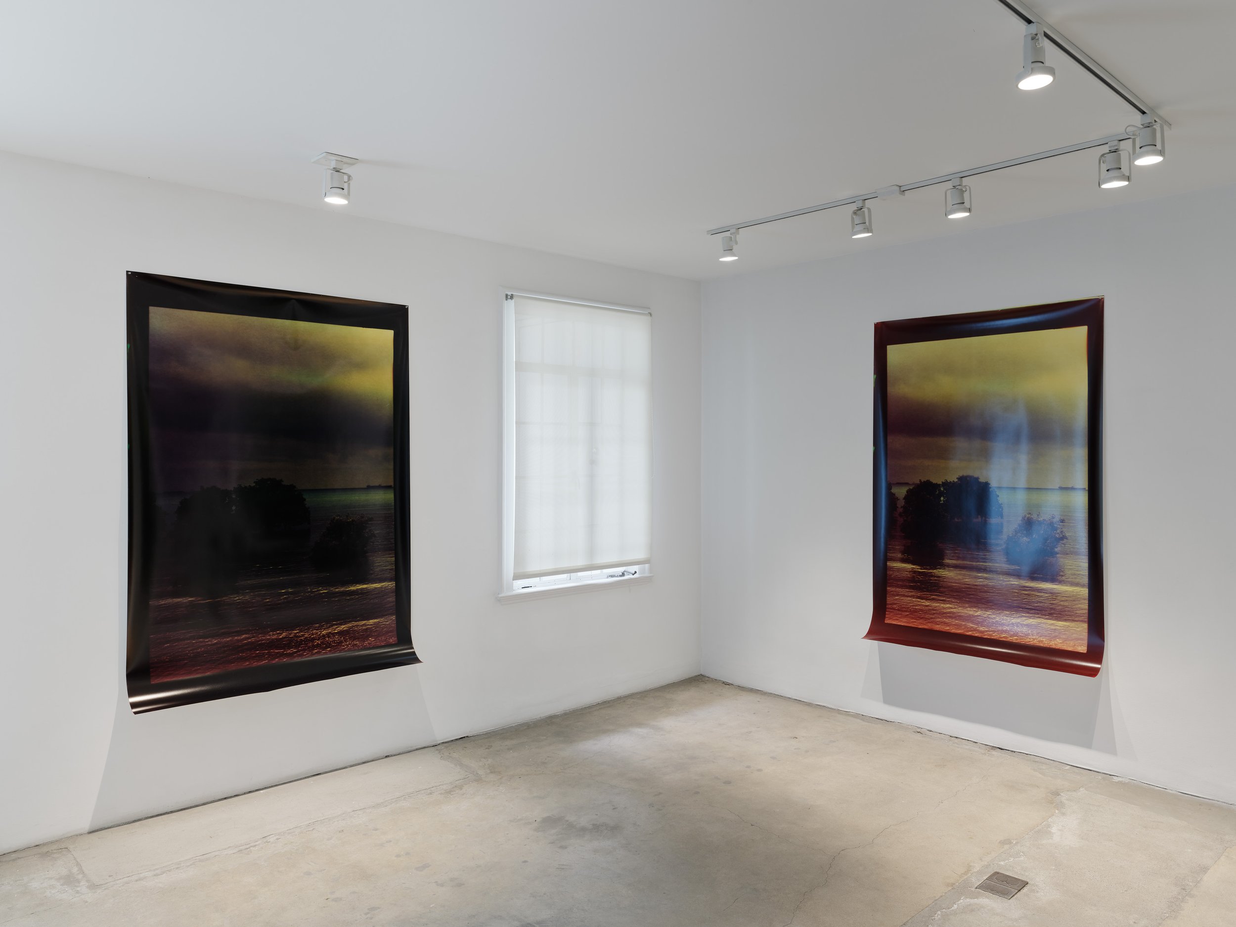 Simryn Gill: Fall Then, Installation View, 1301PE, Los Angeles (2024)