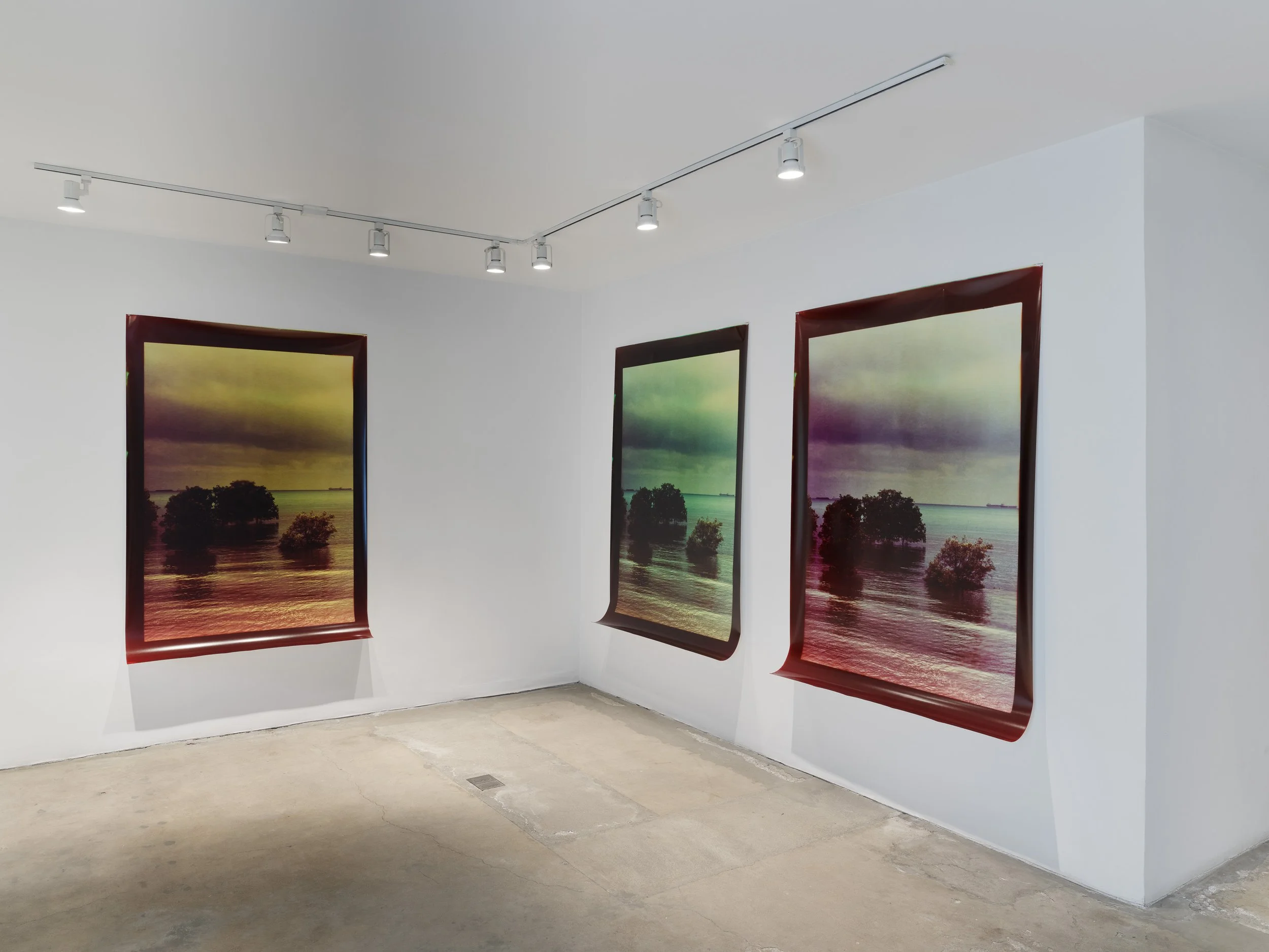 Simryn Gill: Fall Then, Installation View, 1301PE, Los Angeles (2024)