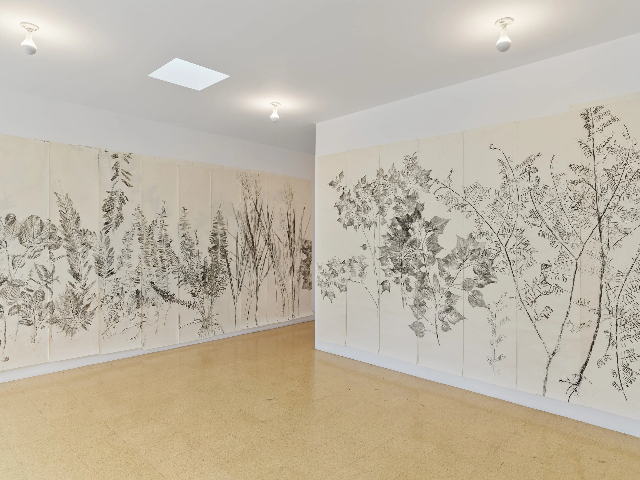 Simryn Gill: Fall Then, Installation View, 1301PE, Los Angeles (2024)