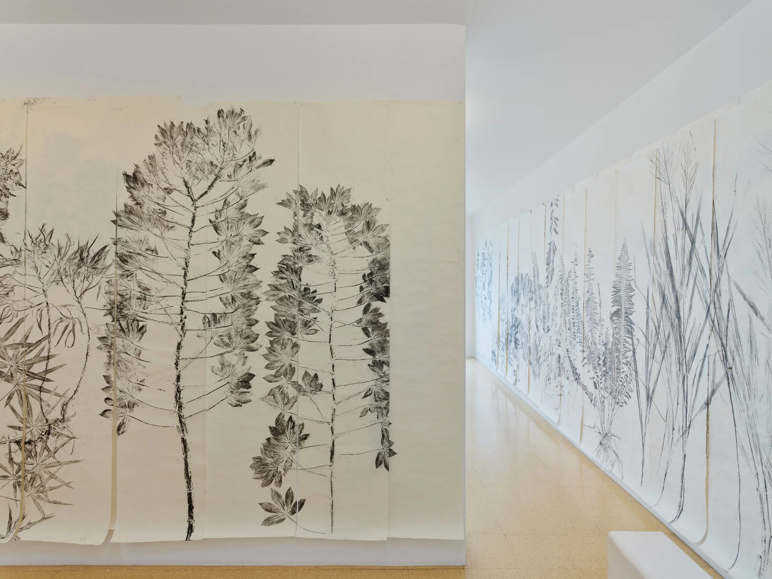 Simryn Gill: Fall Then, Installation View, 1301PE, Los Angeles (2024)