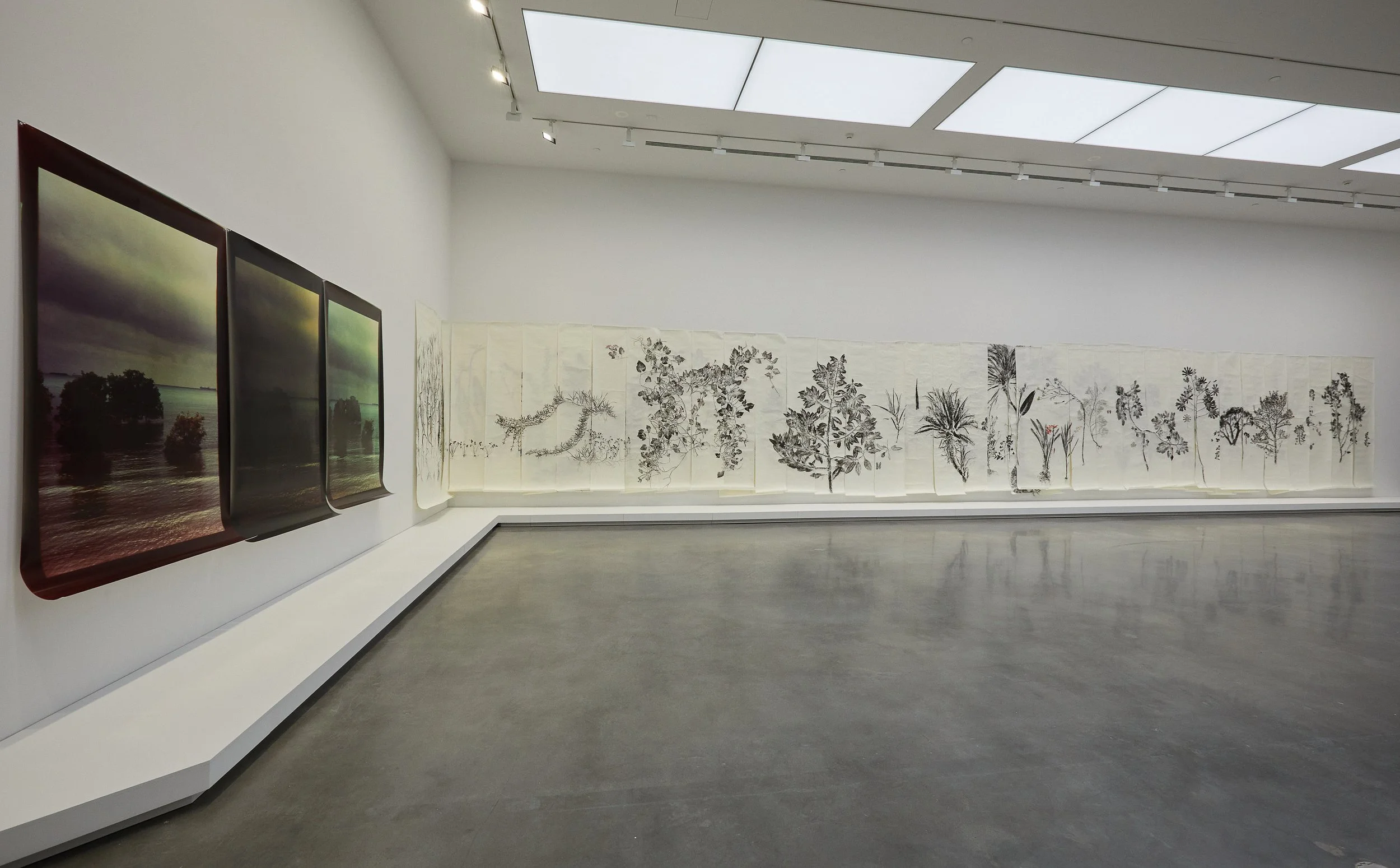 Simryn Gill: Repeating Chasms, Installation View, MCA Australia, Sydney (2023). Photo: Jenni Carter