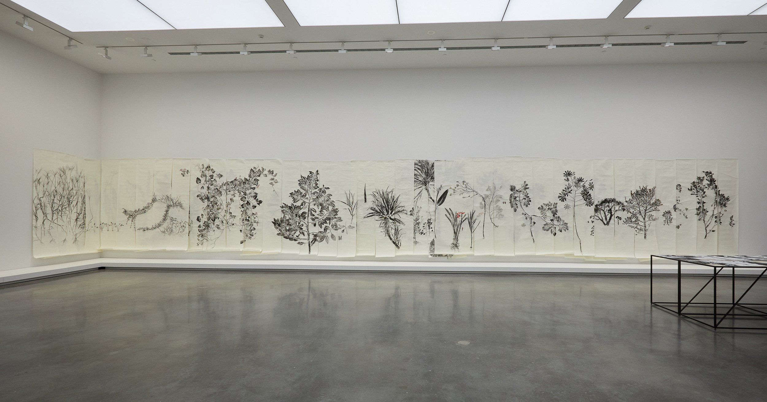 Simryn Gill: Repeating Chasms, Installation View, MCA Australia, Sydney (2023). Photo: Jenni Carter