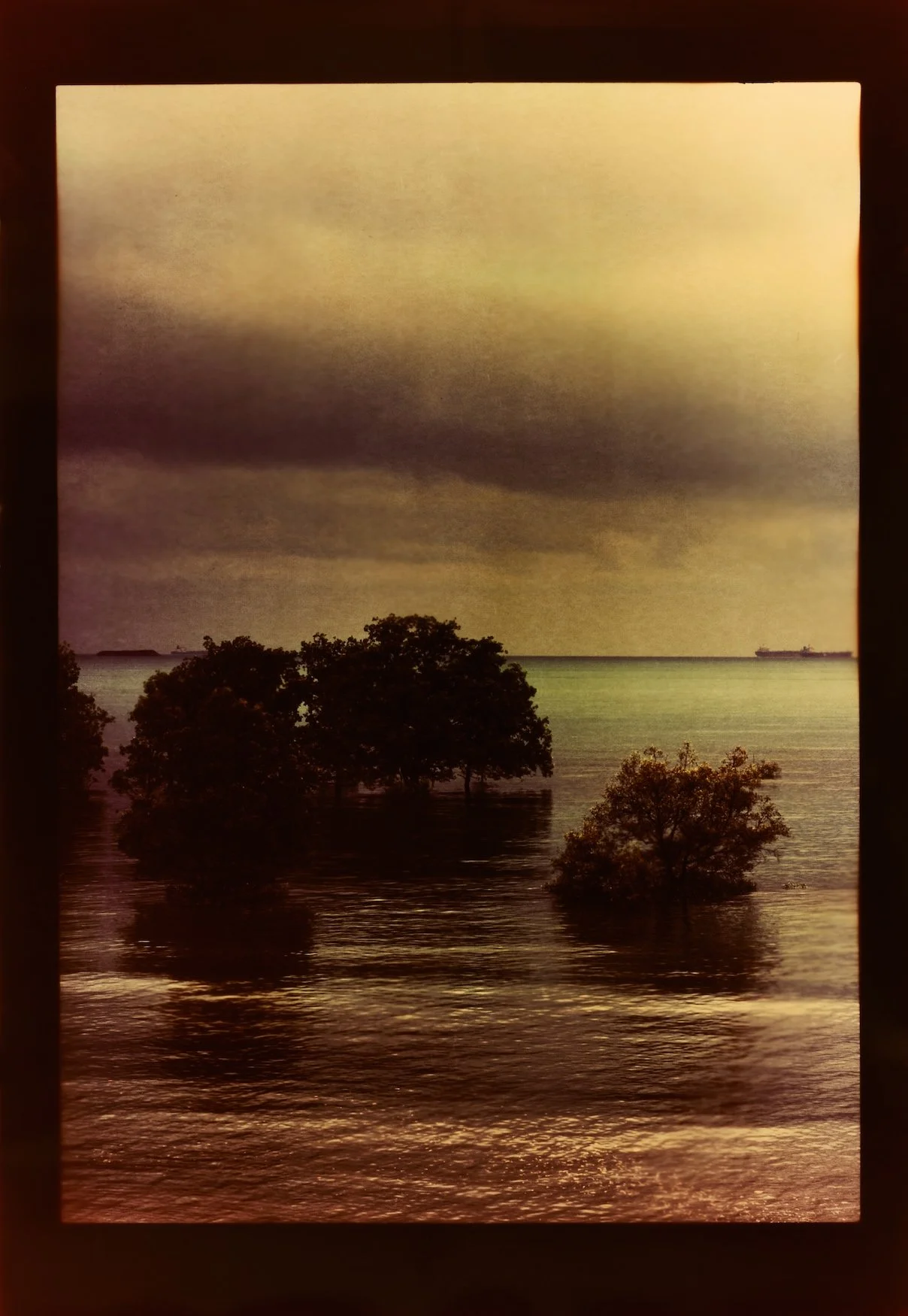 Simryn Gill, Repeating Chasms 4 (2021/2023); C-Type Print from Paper Negative; 73.23 x 50 inches; 186 x 127 cm