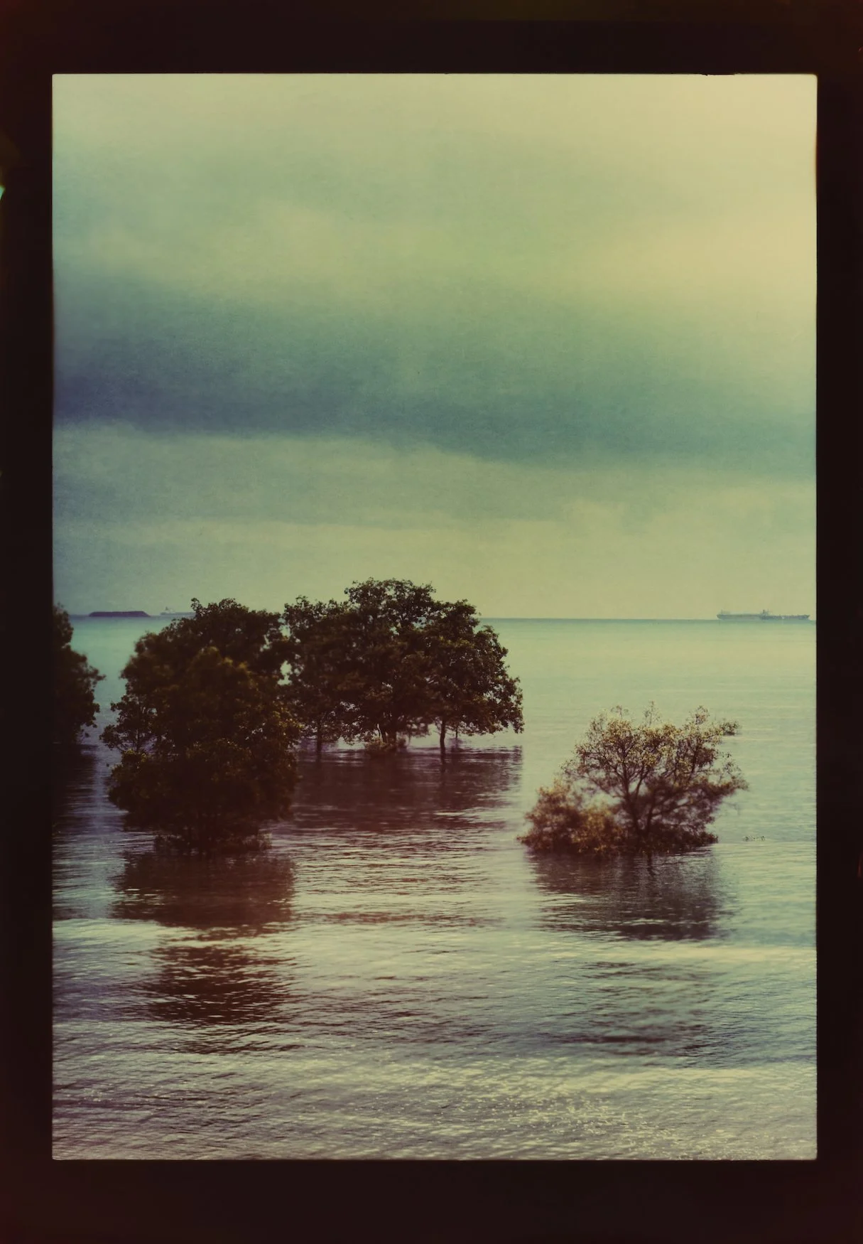 Simryn Gill, Repeating Chasms 1 (2021/2023); C-Type Print from Paper Negative; 73.23 x 50 inches; 186 x 127 cm