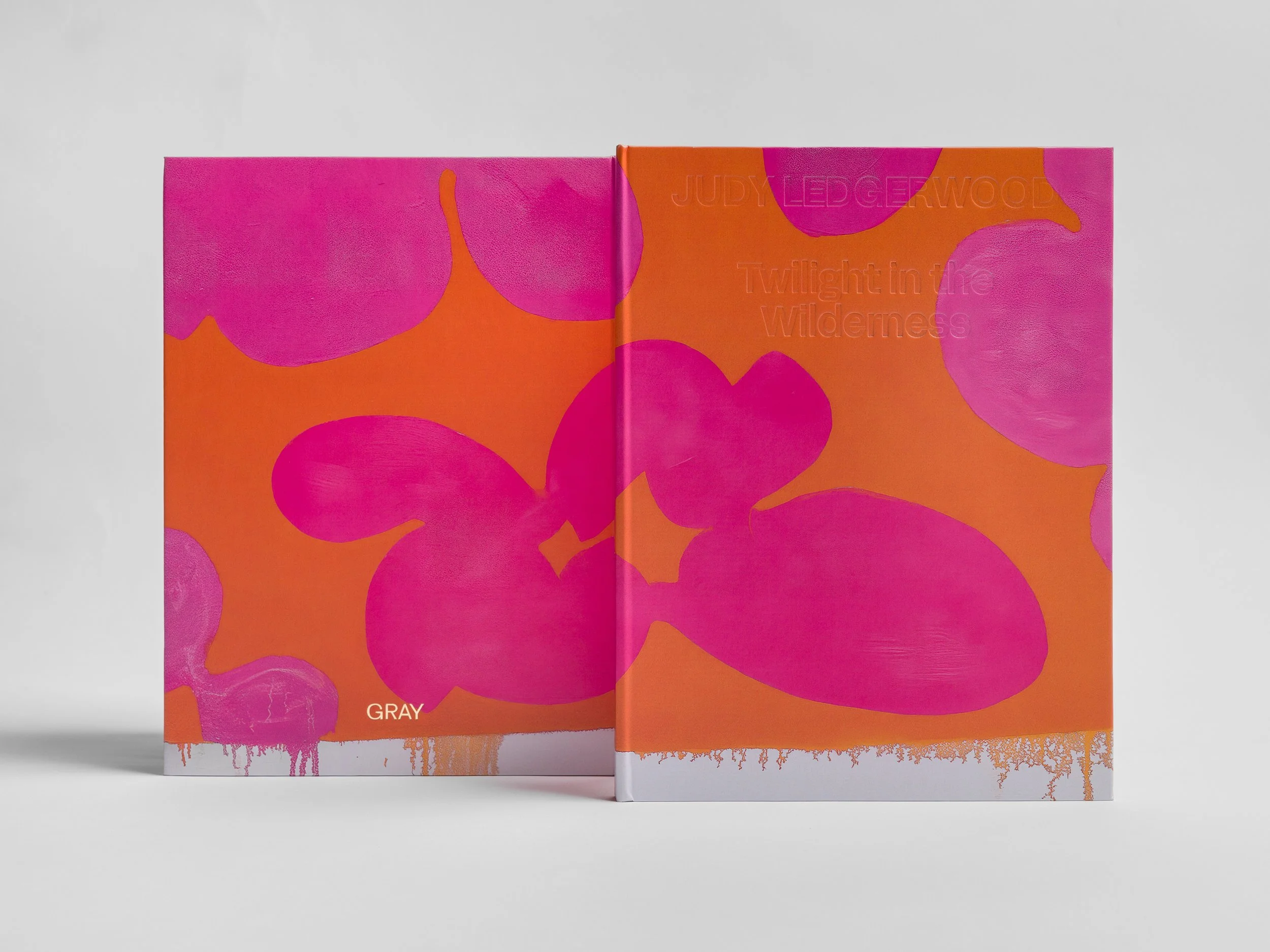 Judy Ledgerwood: Twilight in the Wilderness