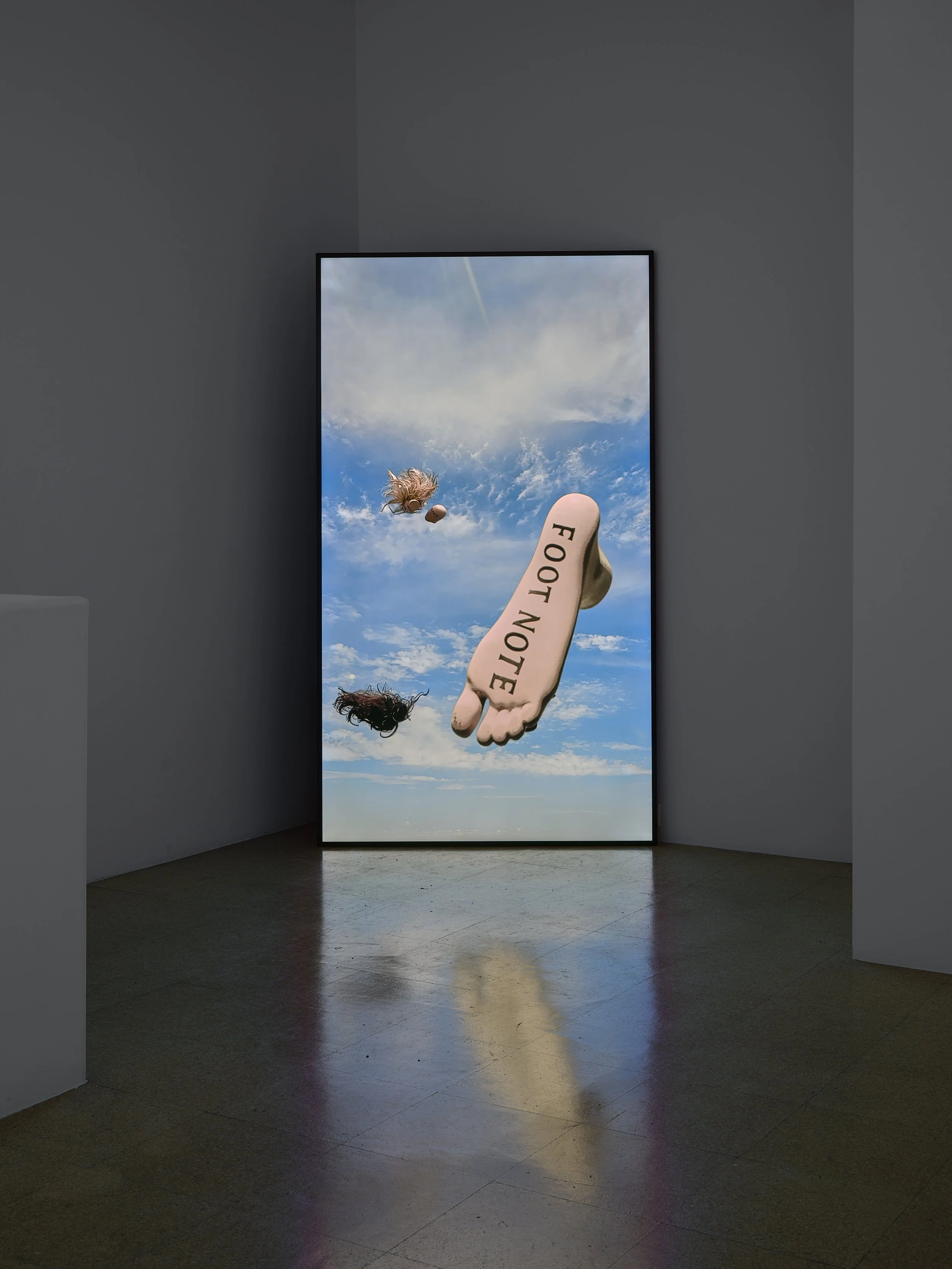 Fiona Banner, 𝗗𝗶𝘀𝙖𝙧𝙢 (𝙥𝙤𝙧𝙩𝙧𝙖𝙞𝙩) (2025); HD digital film, soundtrack; 6:52 minutes; Ed. of 5