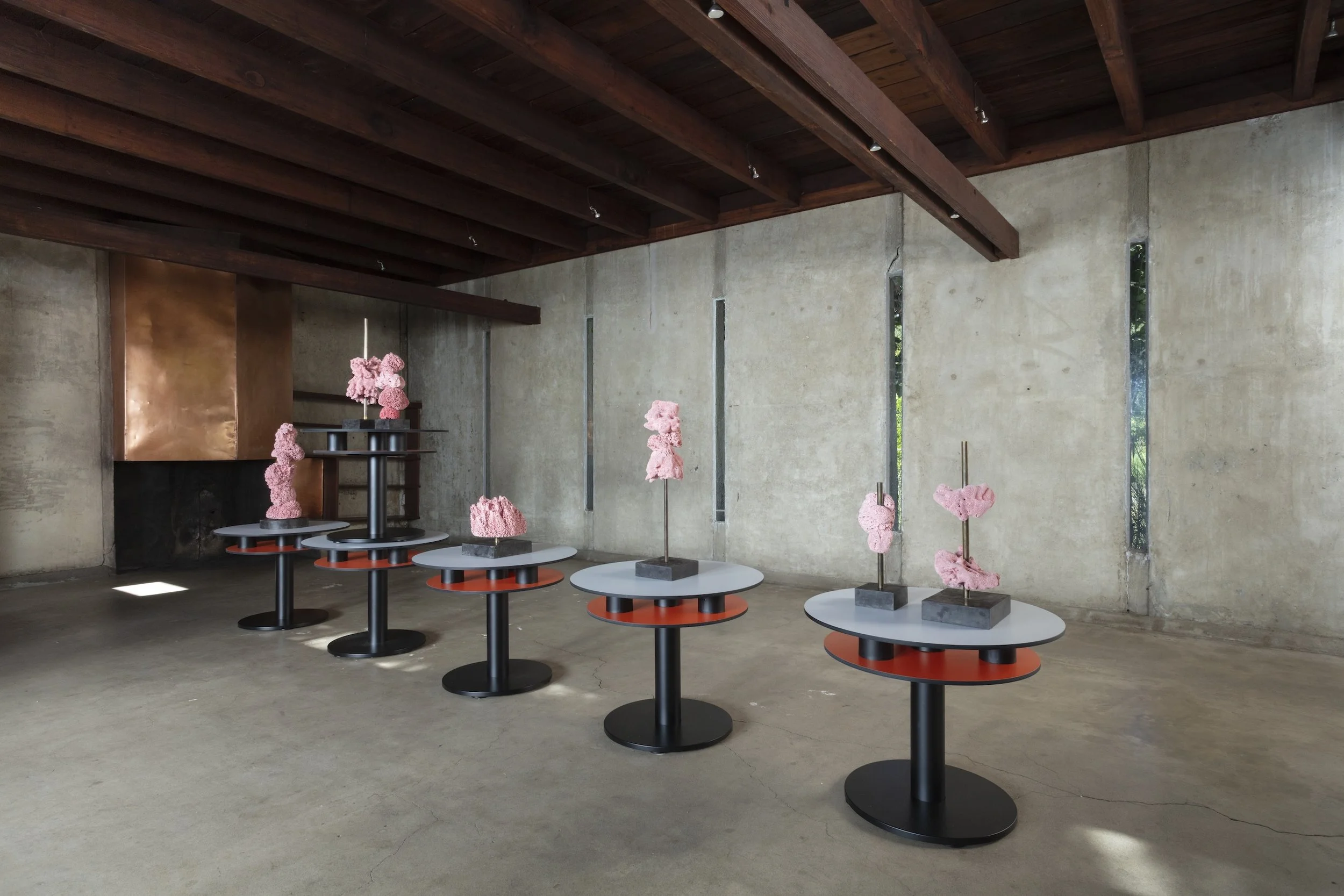 Installation view of SUPERFLEX: Rainbows, Sponges, Flies, and Spoons, MAK Center for Art and Architecture at the Schindler House. Photography by Joshua Schaedel.