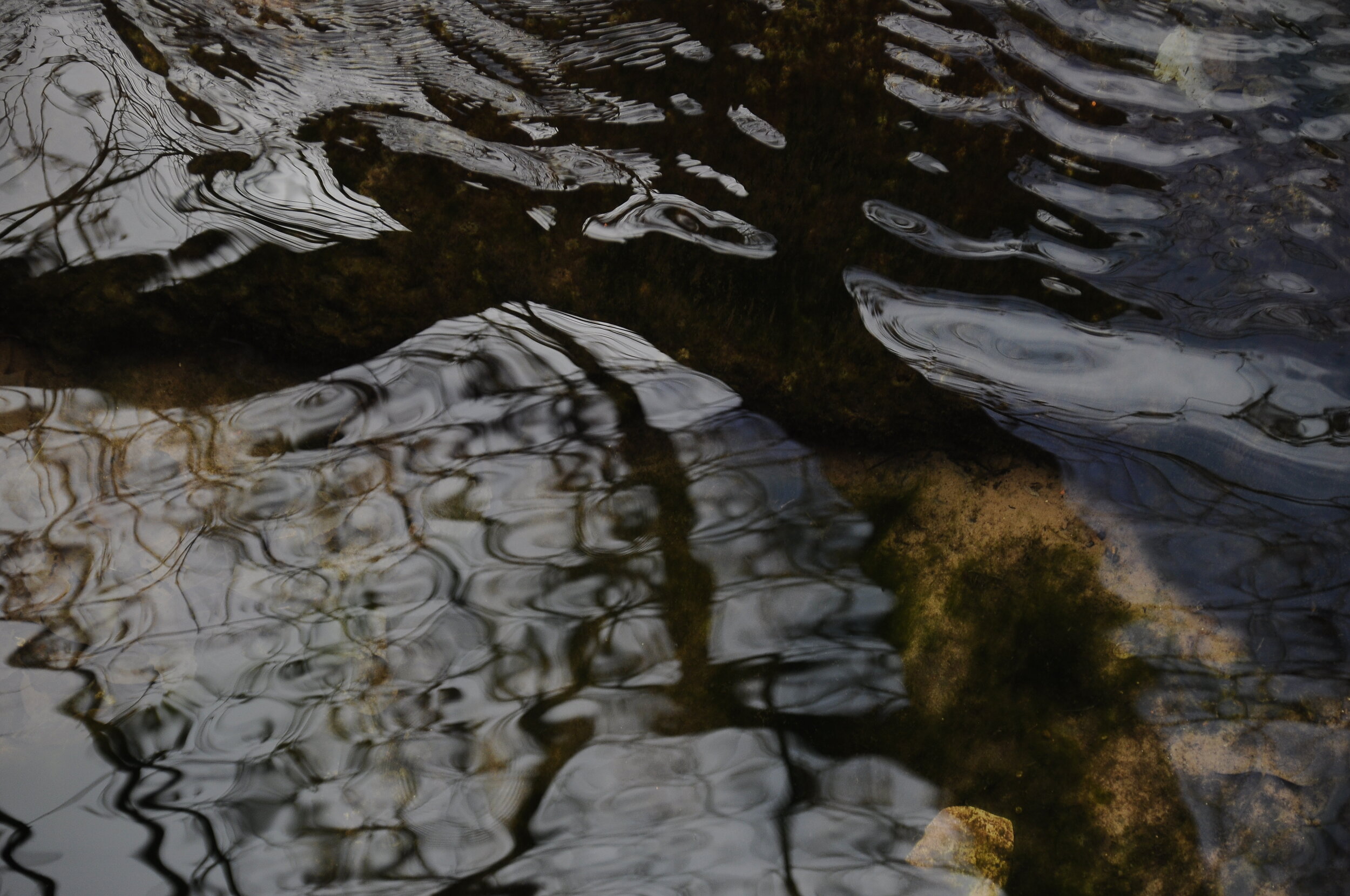 Issue 12: May 2020 Monastic Visit Details