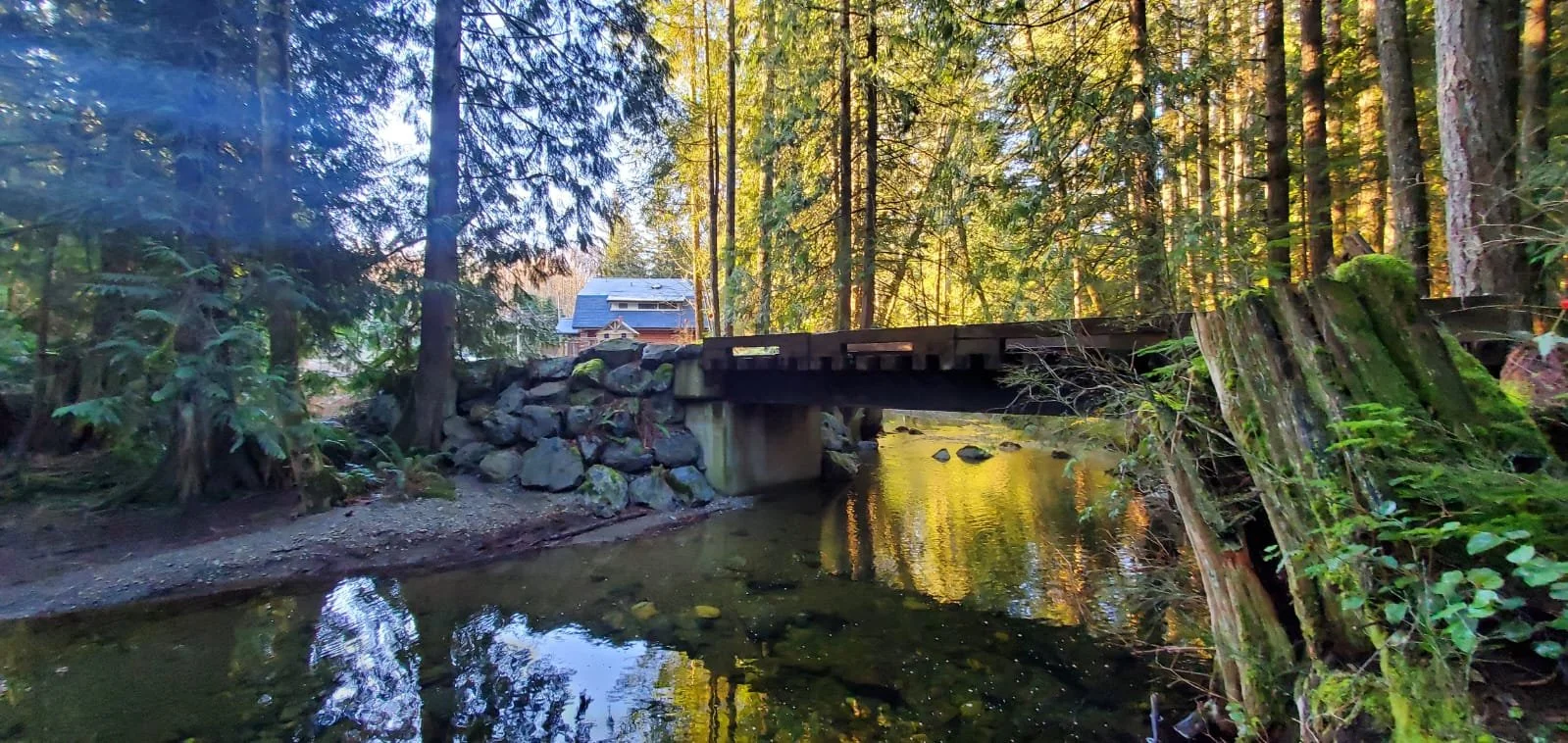 Issue 37: Successful Two-Month Monastery Program & Upcoming Events