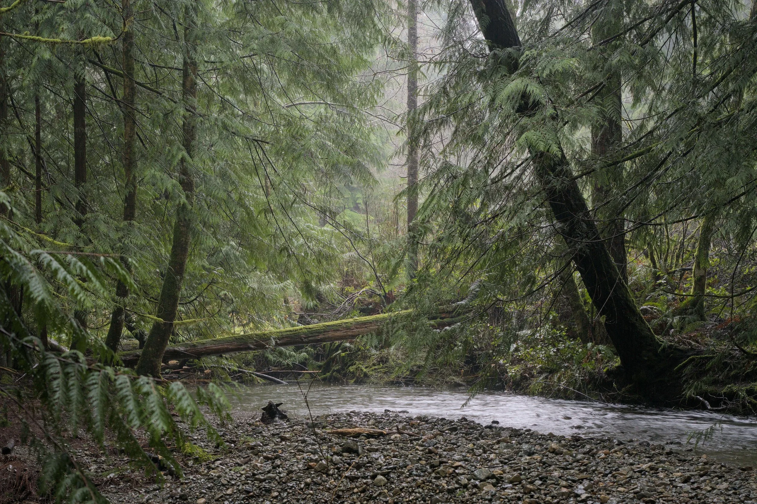 Issue 40: Registration Now Open for Monastery for Two Months ‘26