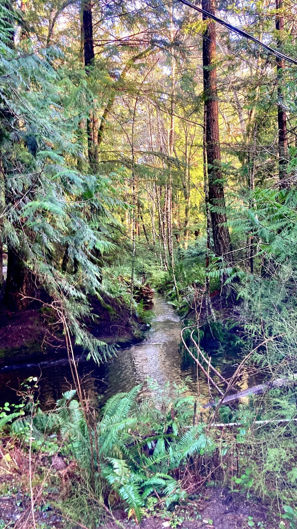 Issue 41: Monastery for Two Months '26 – Into the Second Month