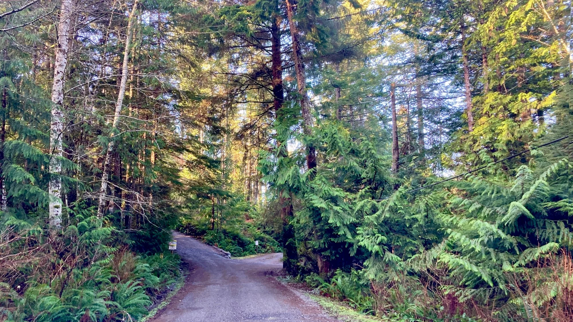 19 road.JPEG