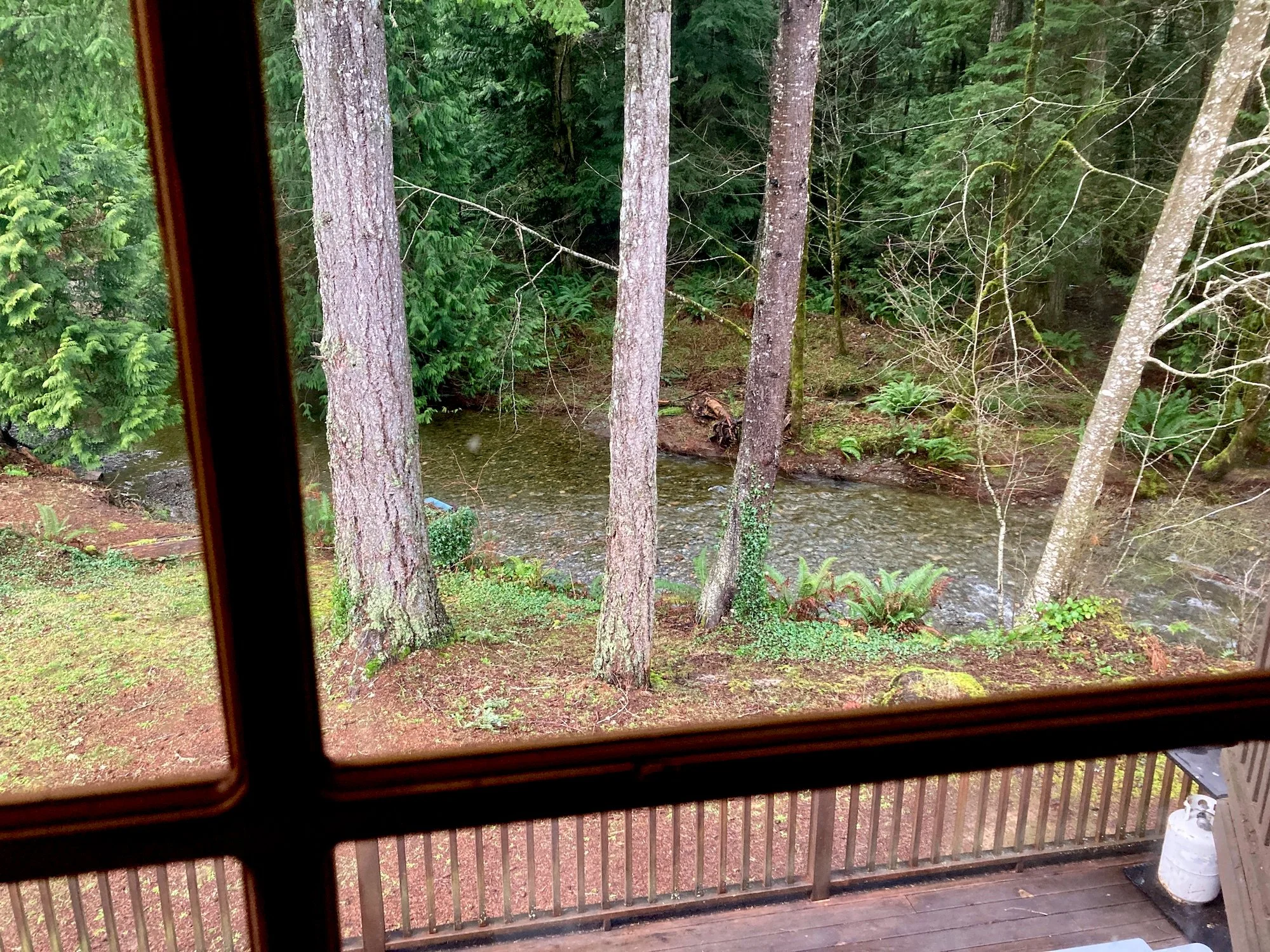 15 room view.JPEG