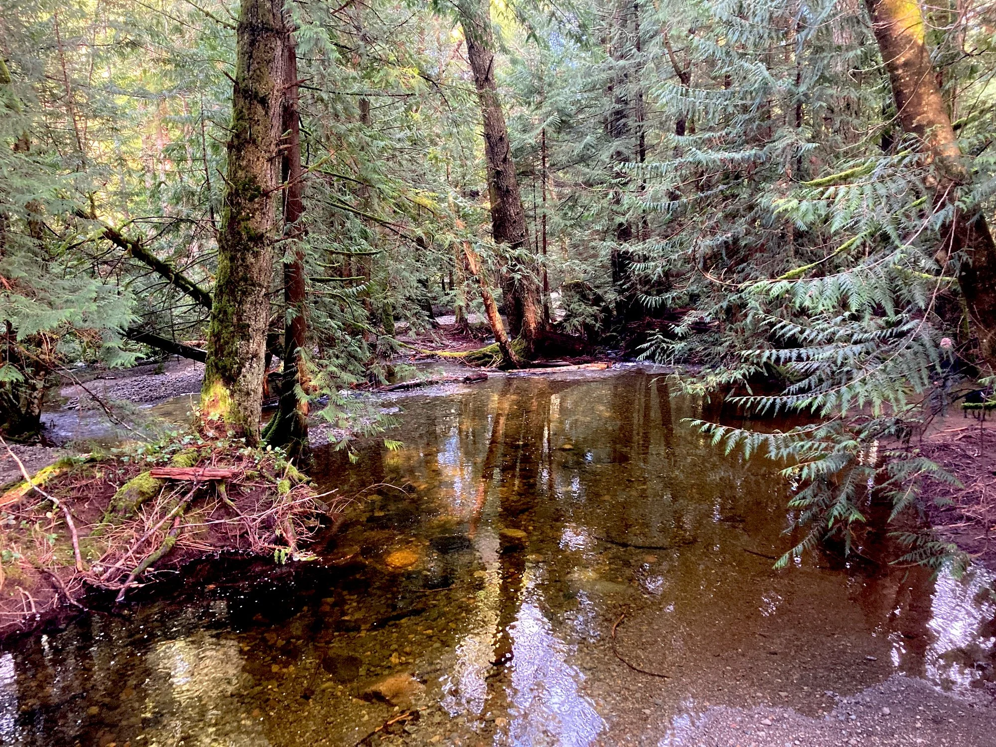 12 creak 1.JPG