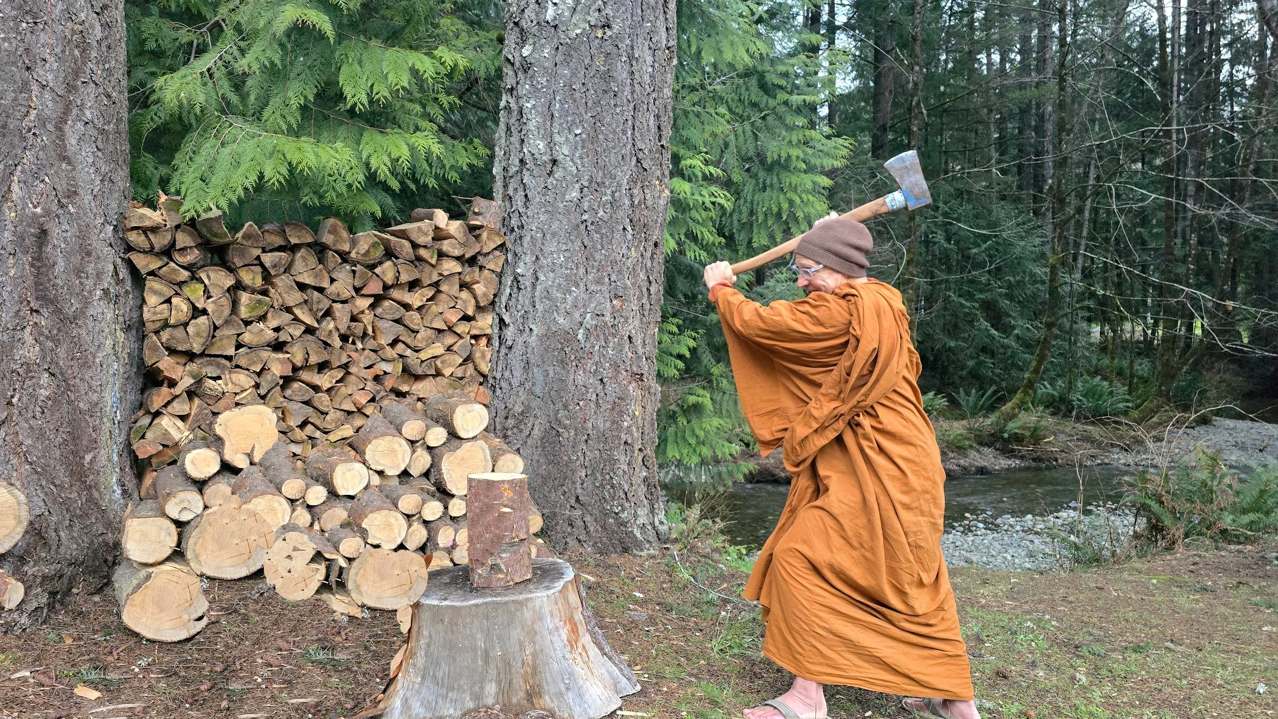 The bhikkhu prepares to cut through delusion with his axe!.jpg