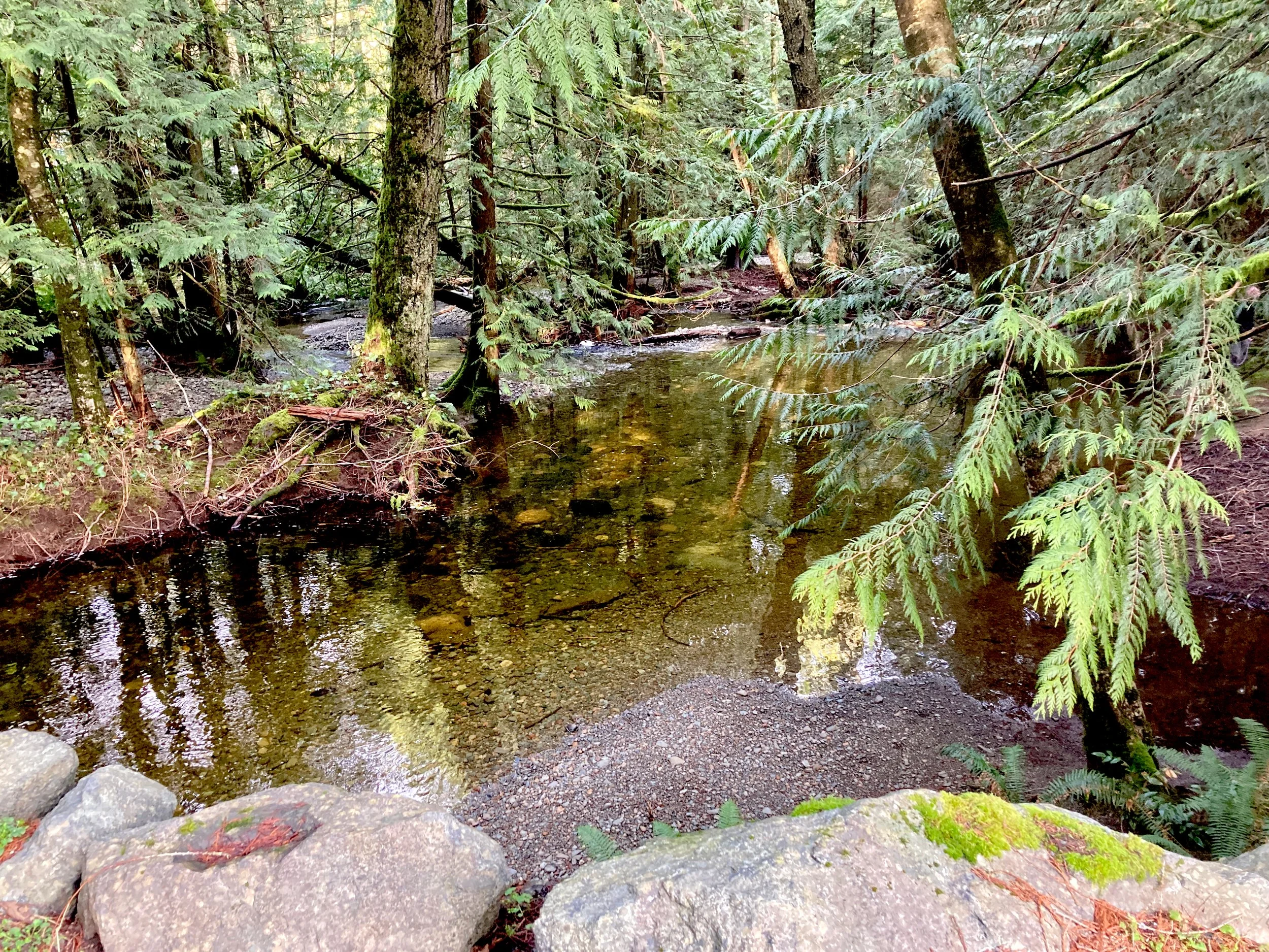 18 creek.JPEG