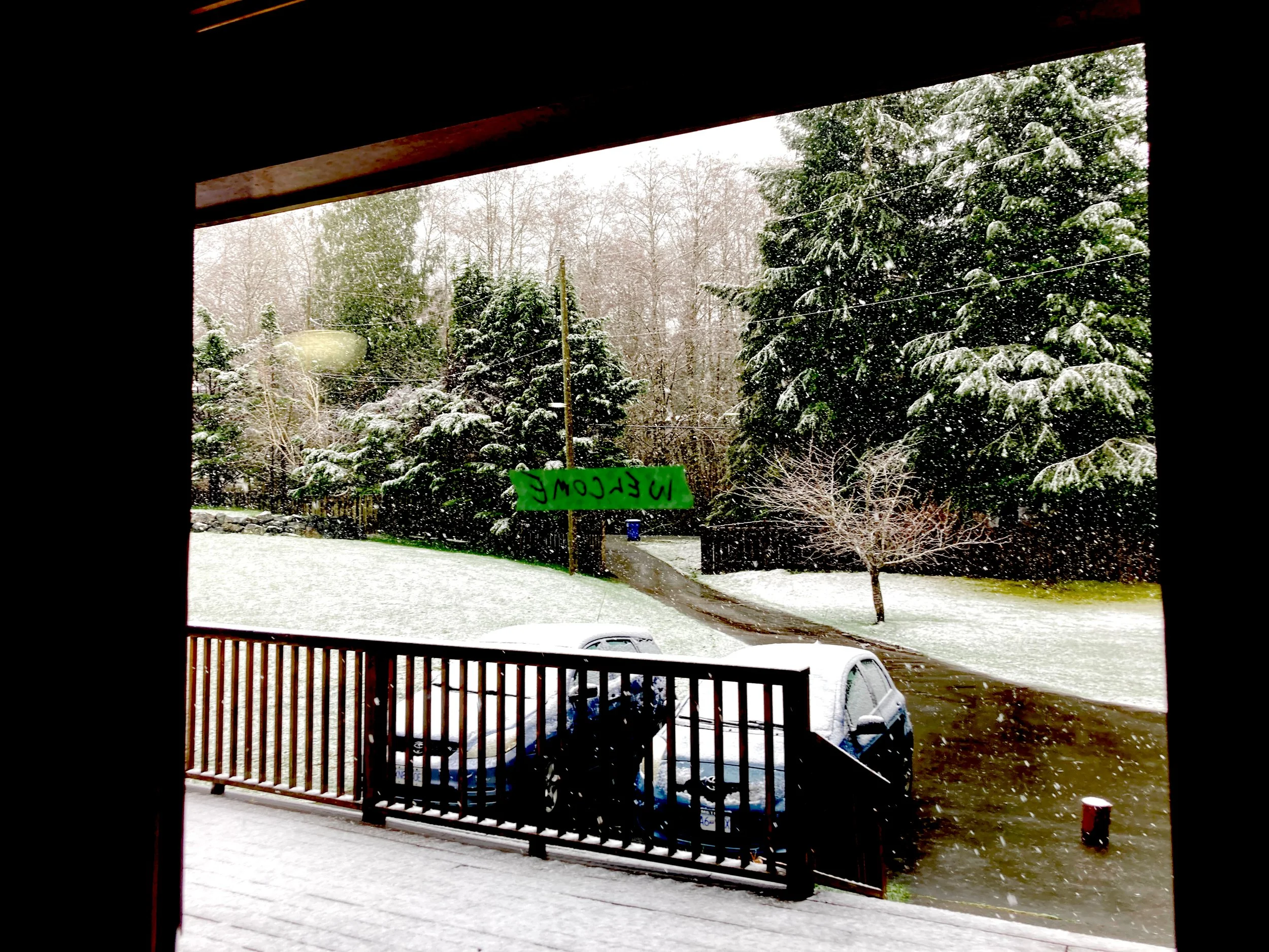 20 winter.JPEG