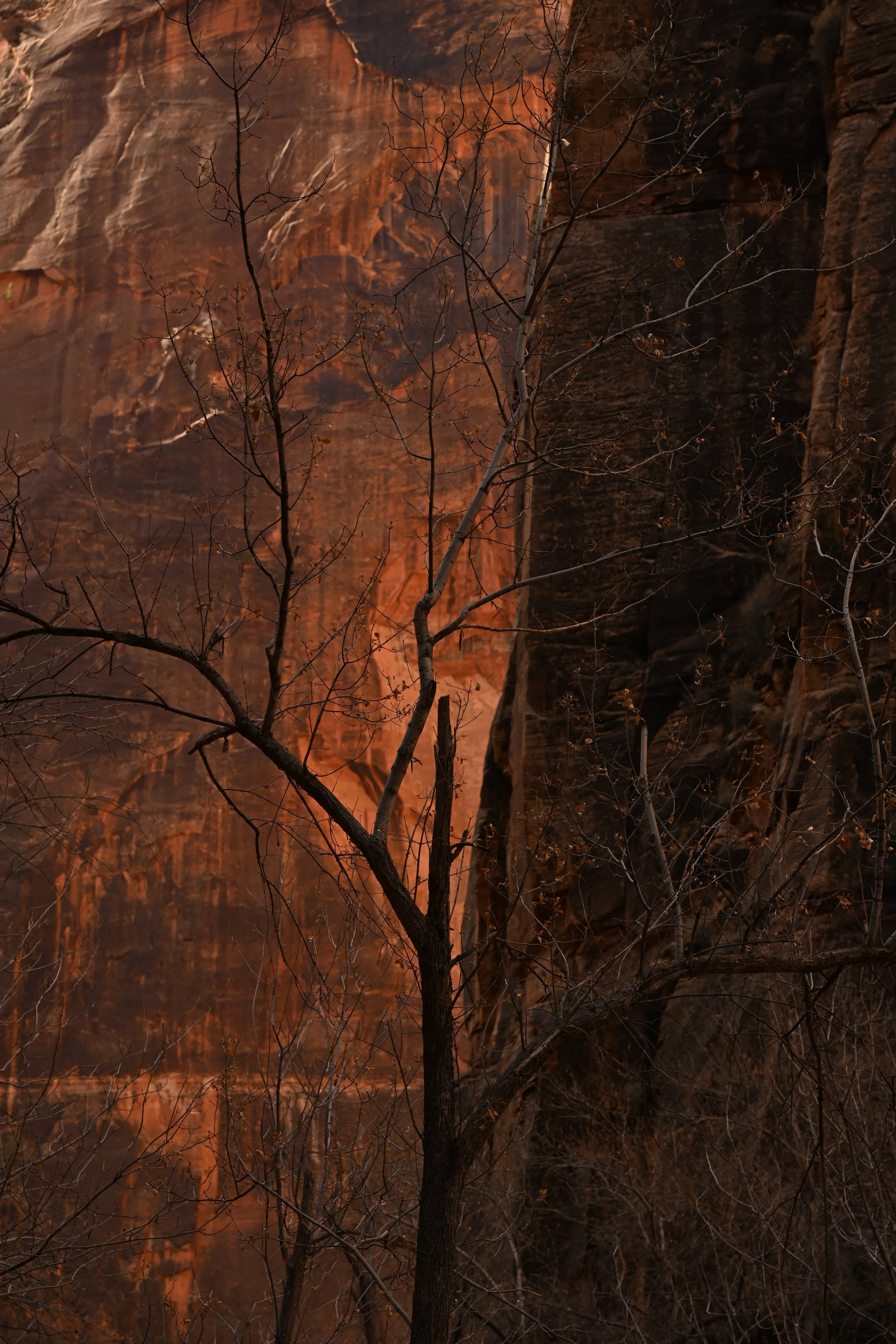 Issue 45: Retreat with Than Ajaan Geoff Postponed (Sept 12–13)