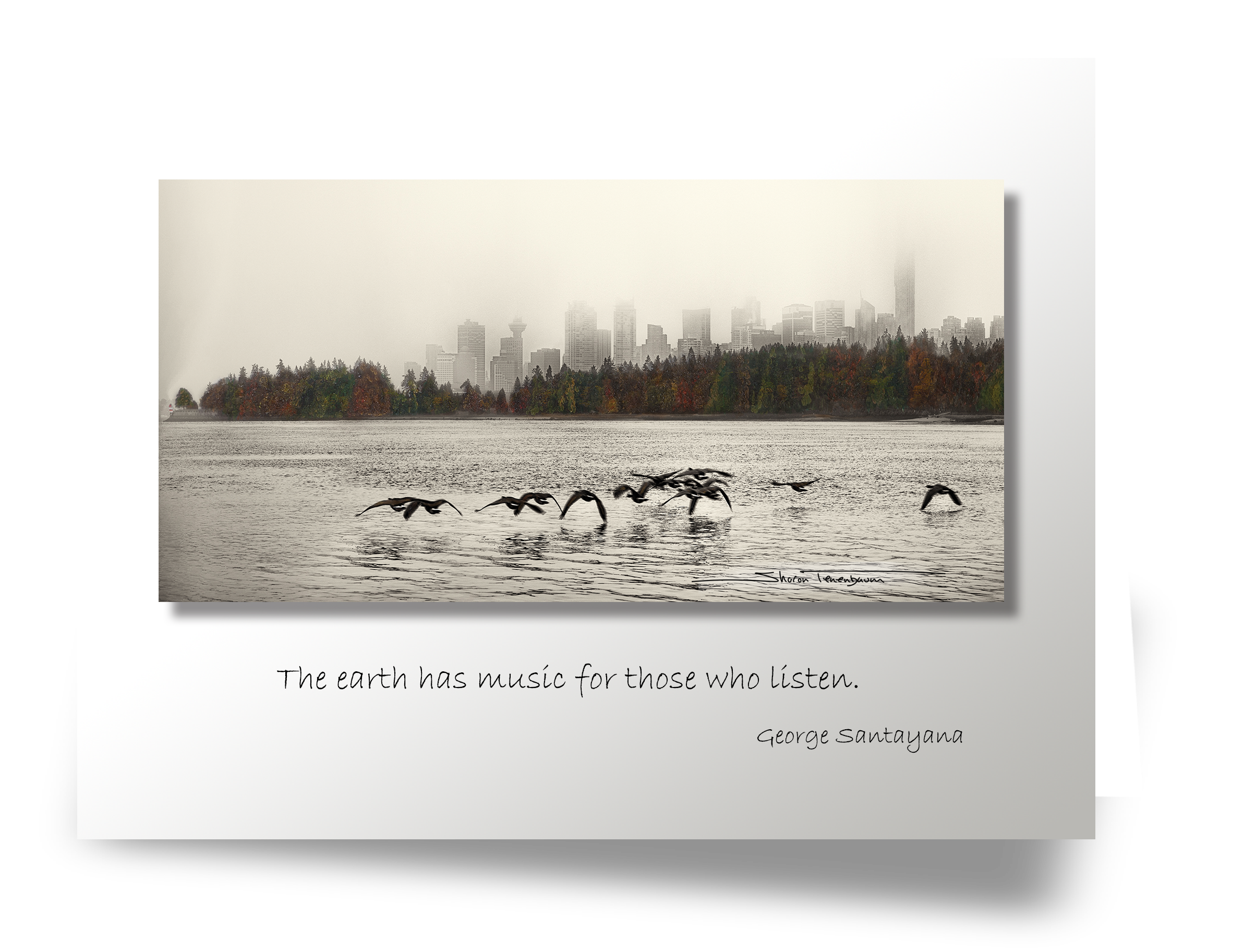 CL059 Vancouver Skyline with Geese