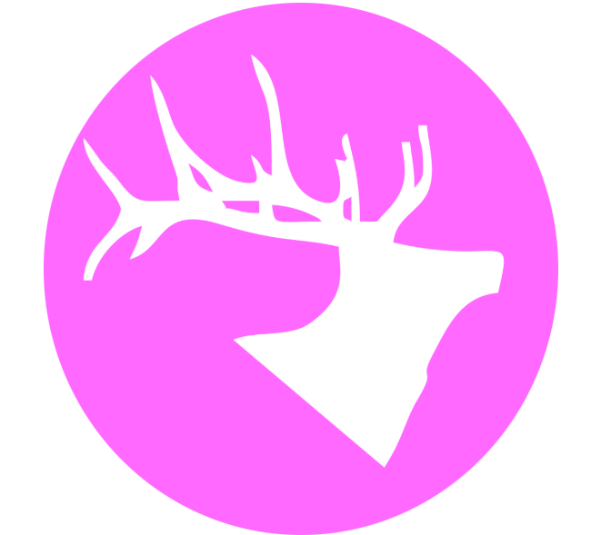 unnamed copy.png