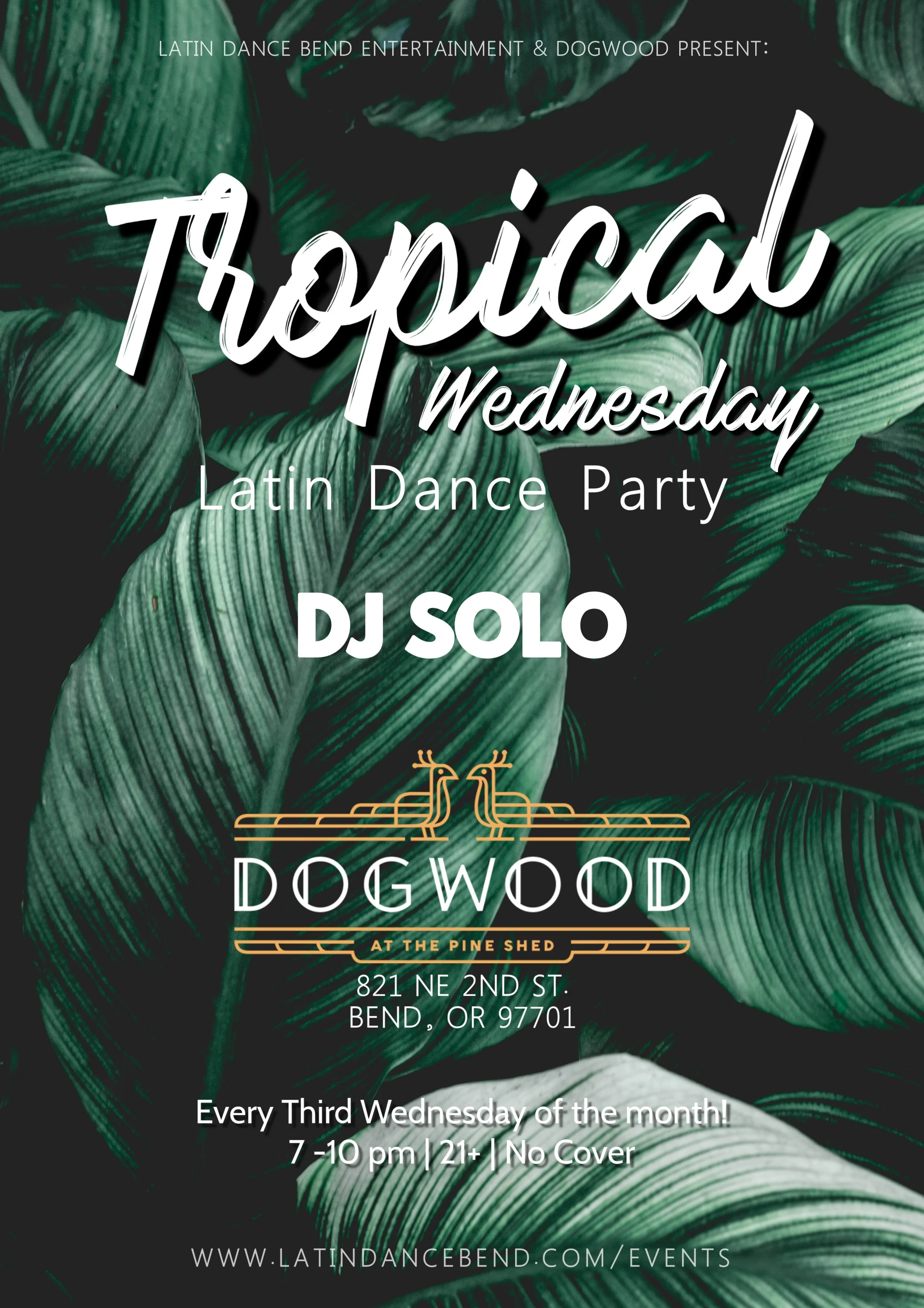 Tropical Latin Dance Party