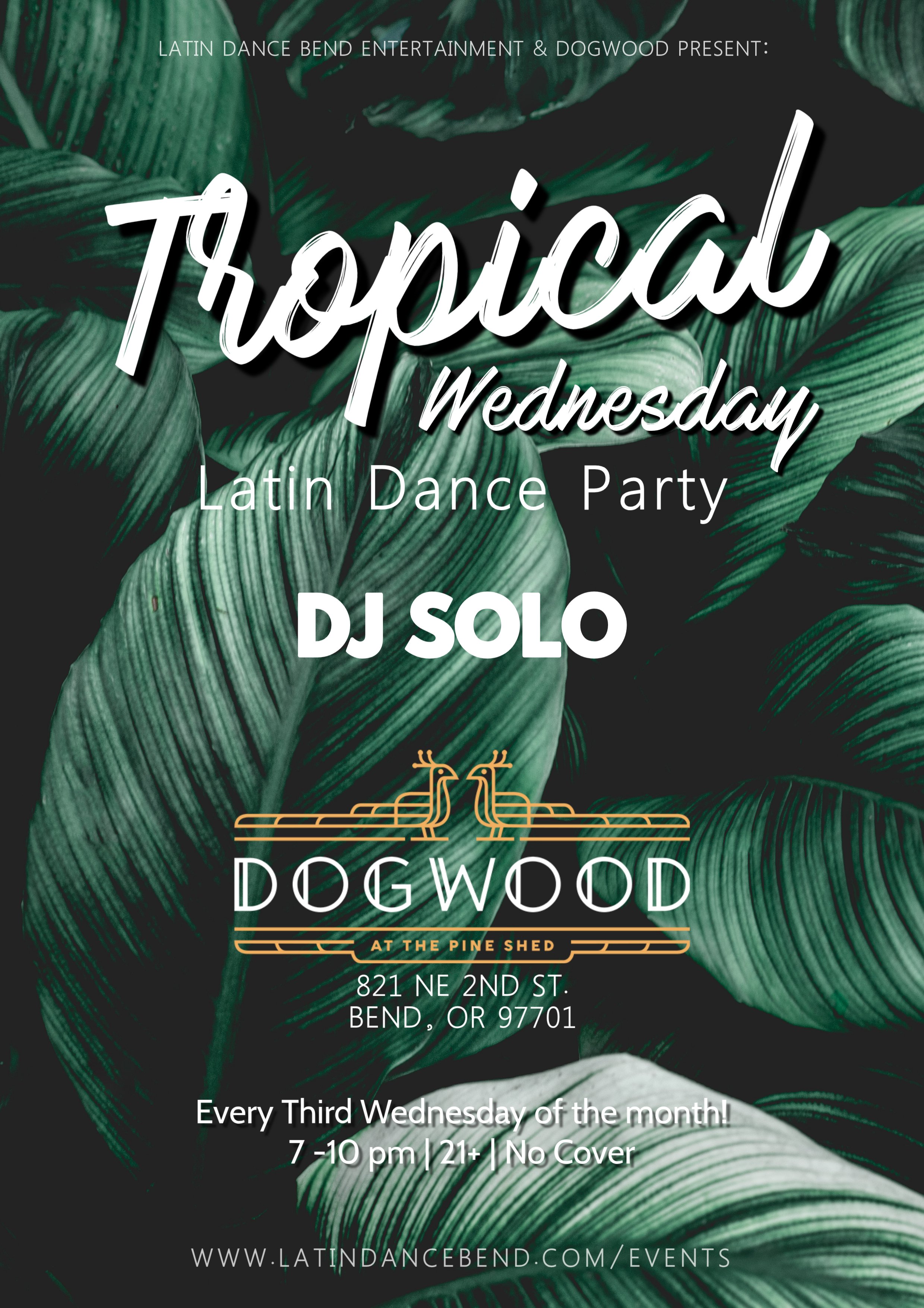 Tropical Latin Dance Party