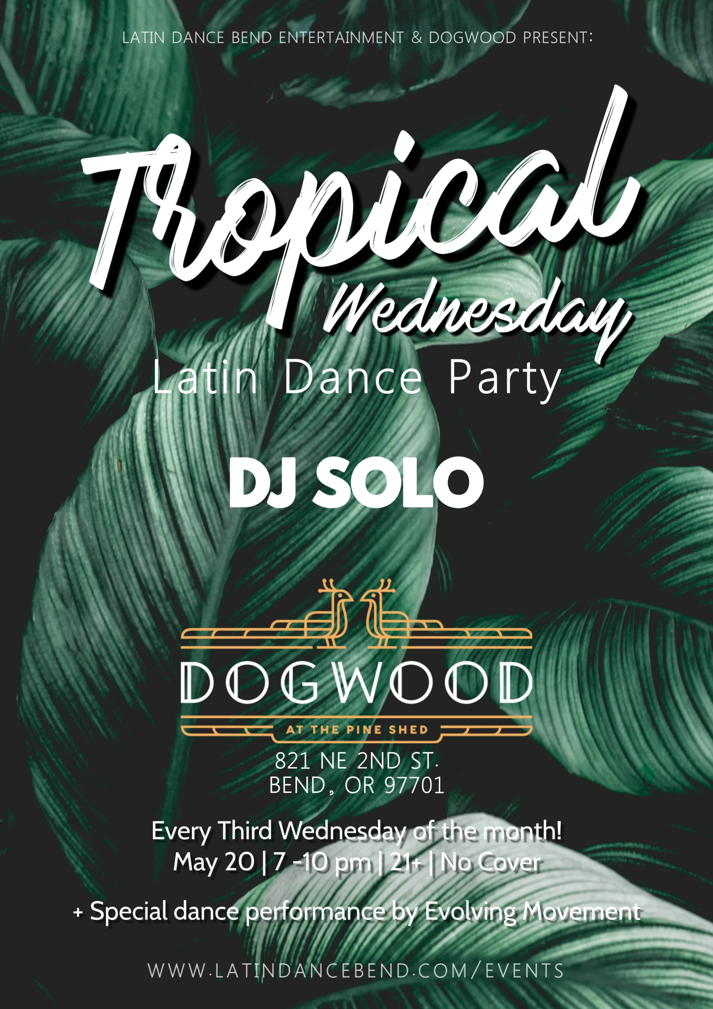 Tropical Latin Dance Party