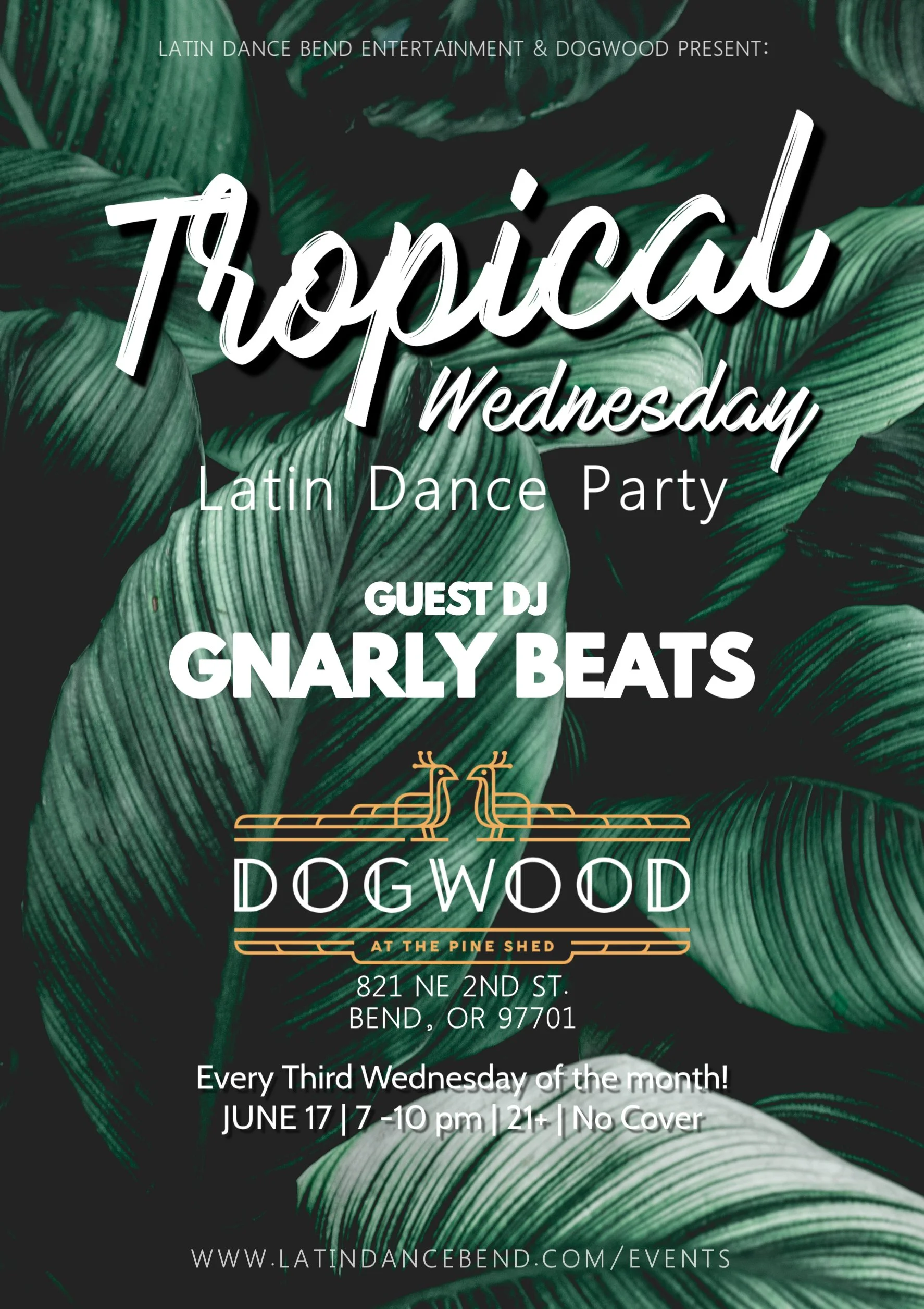 Tropical Latin Dance Party