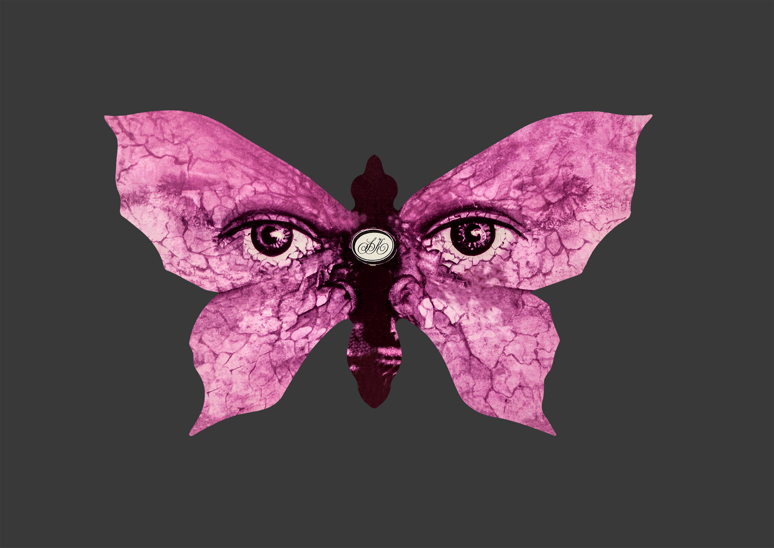 SK butterfly Pink_Grn.jpg