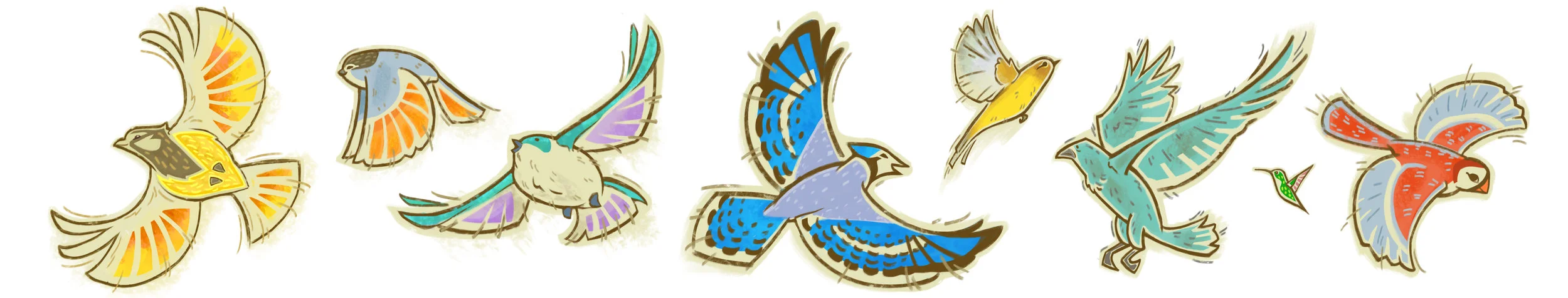 birds banner.jpg