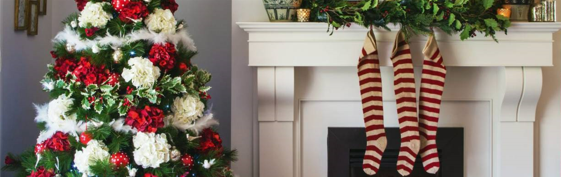 The one Christmas tree mistake you don’t want to make 