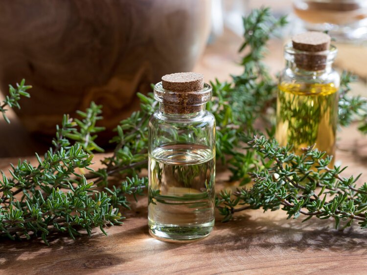 Thyme-Oil_Guide-To-Essential-Oils.jpg