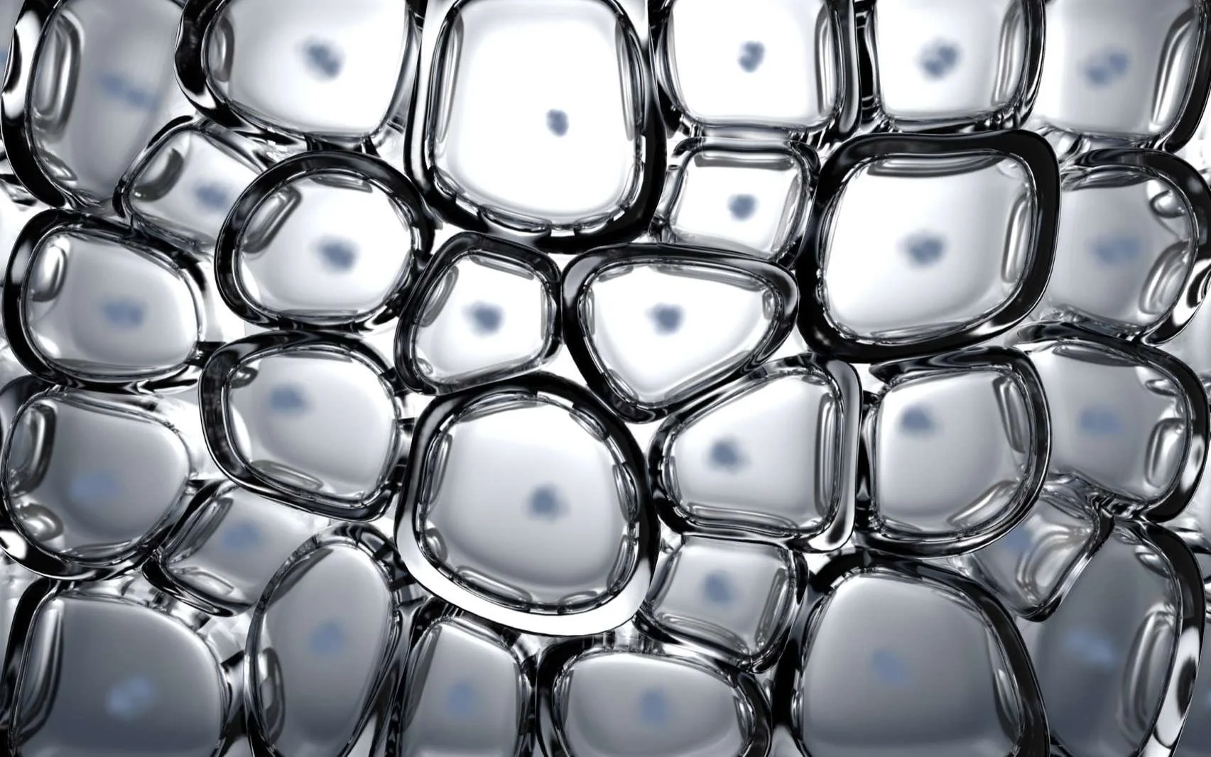 MAGNESIUM is the metabolism cells manager and without extra magnesium you can't win. 