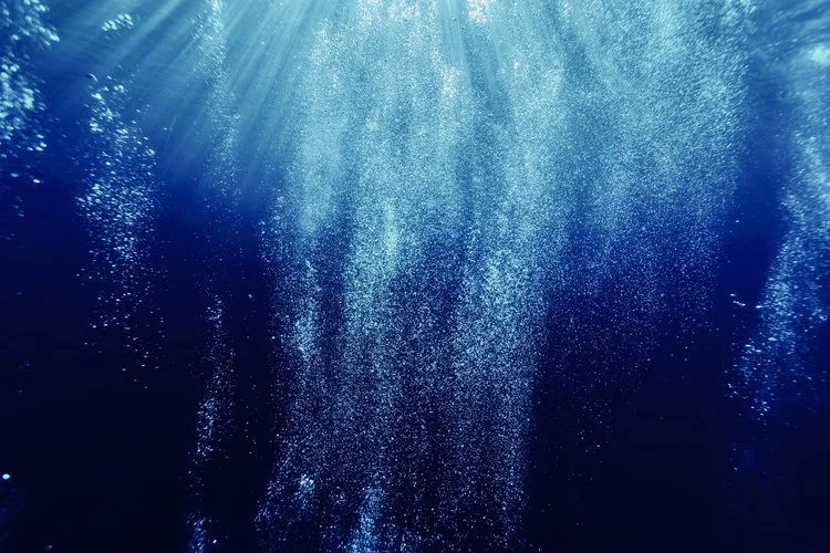 Comment l'absorption de Magnesium Topique prend-elle effet?  