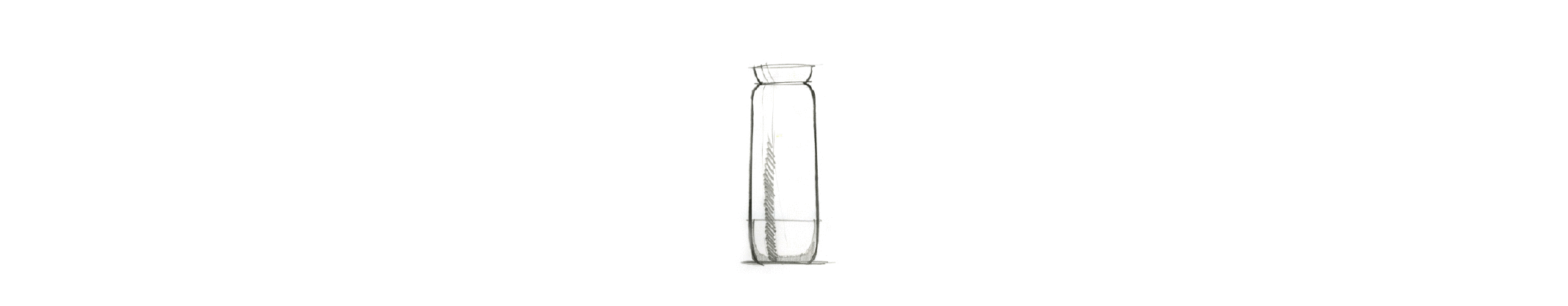 bottle line up 3 gif.gif