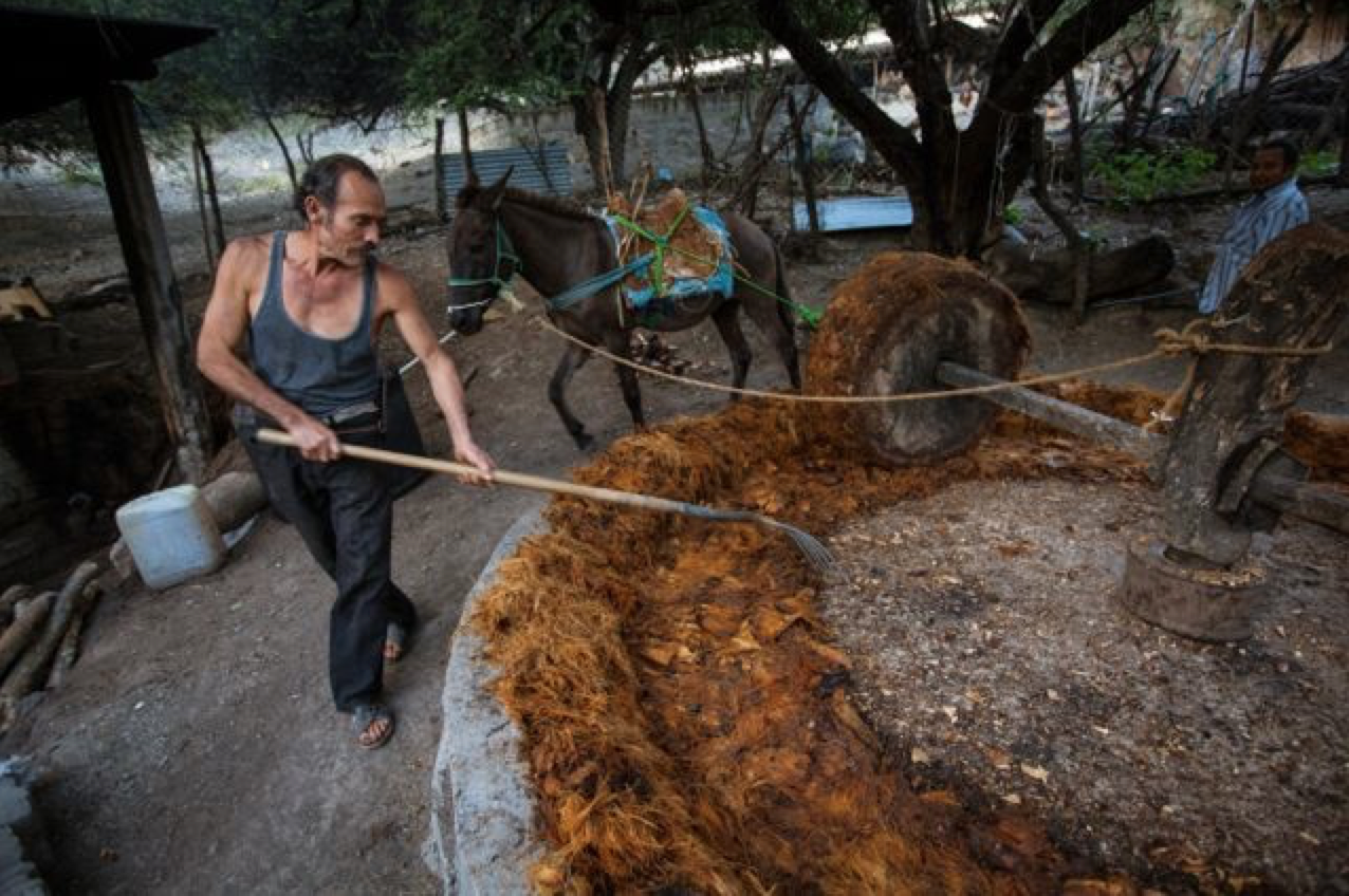 A picture from the mezcal production of Mezcal Vago, as described by K&L Wine Merchants blog. 