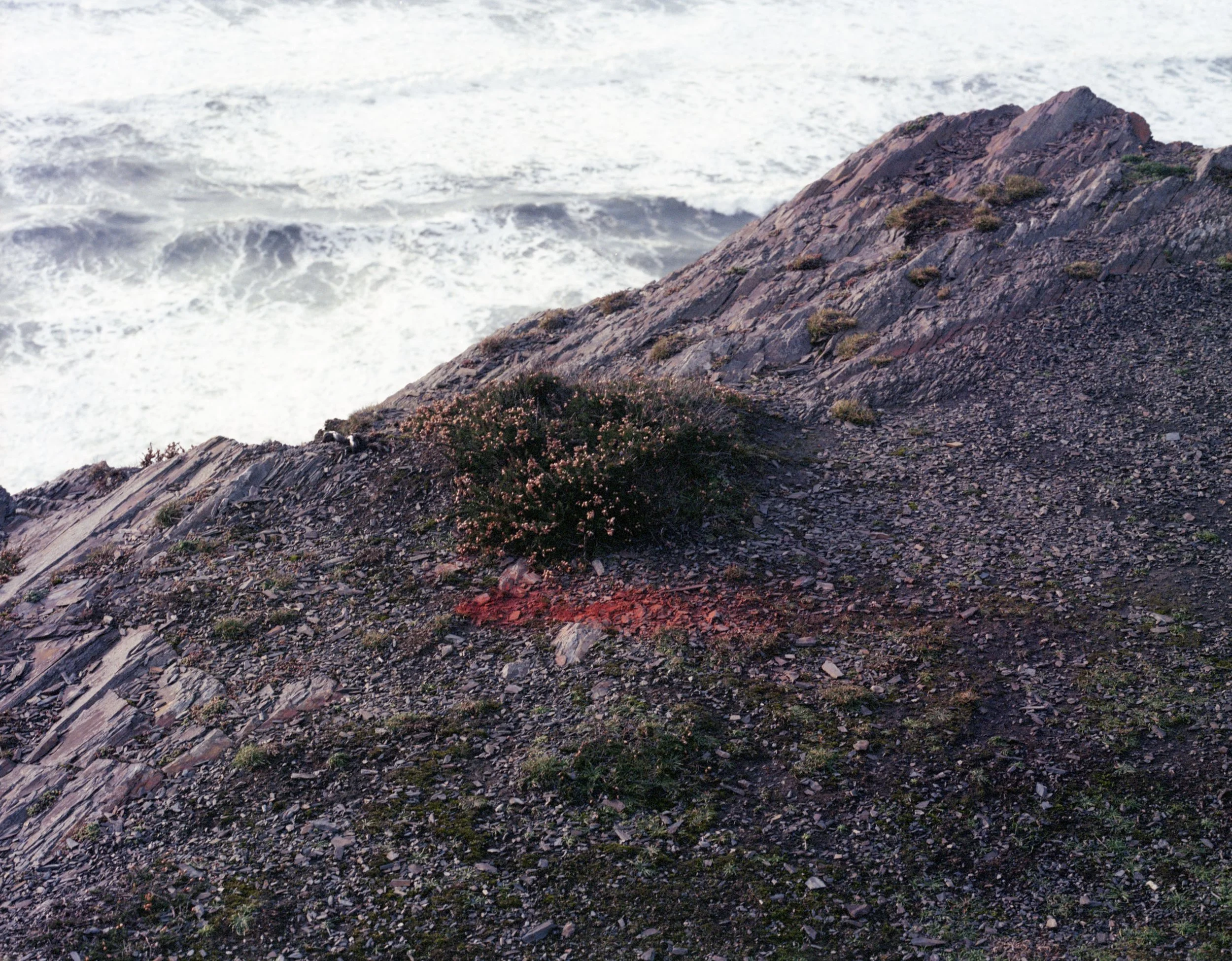 SeaofGrass10.jpg