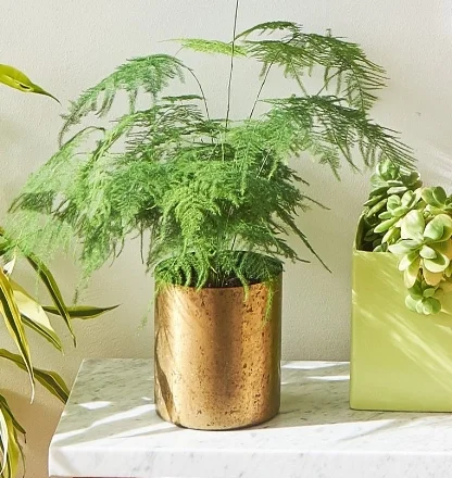 ochre-and-beige-opposite-design-blogger.jpg
